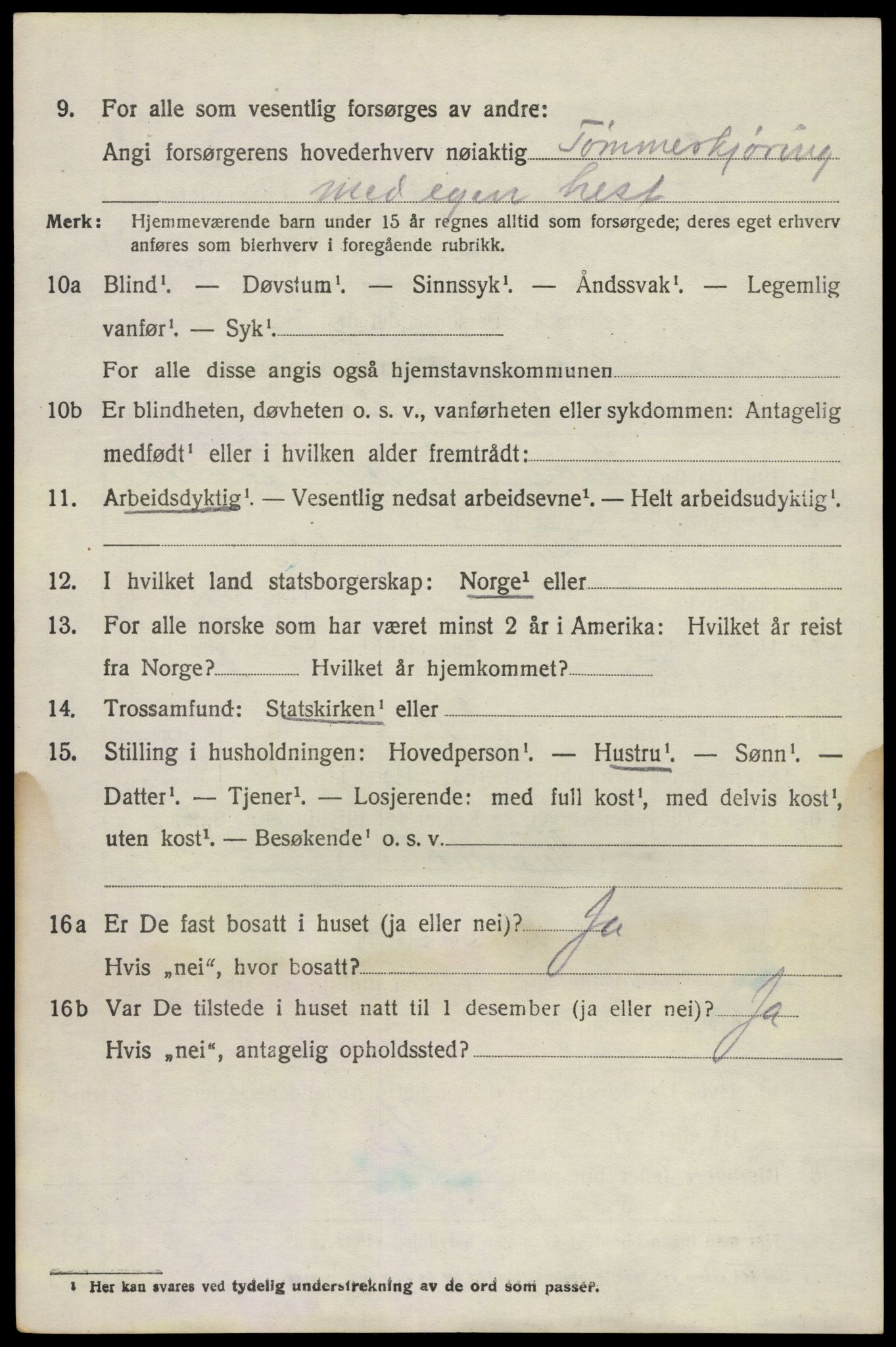 SAKO, 1920 census for Brunlanes, 1920, p. 6128