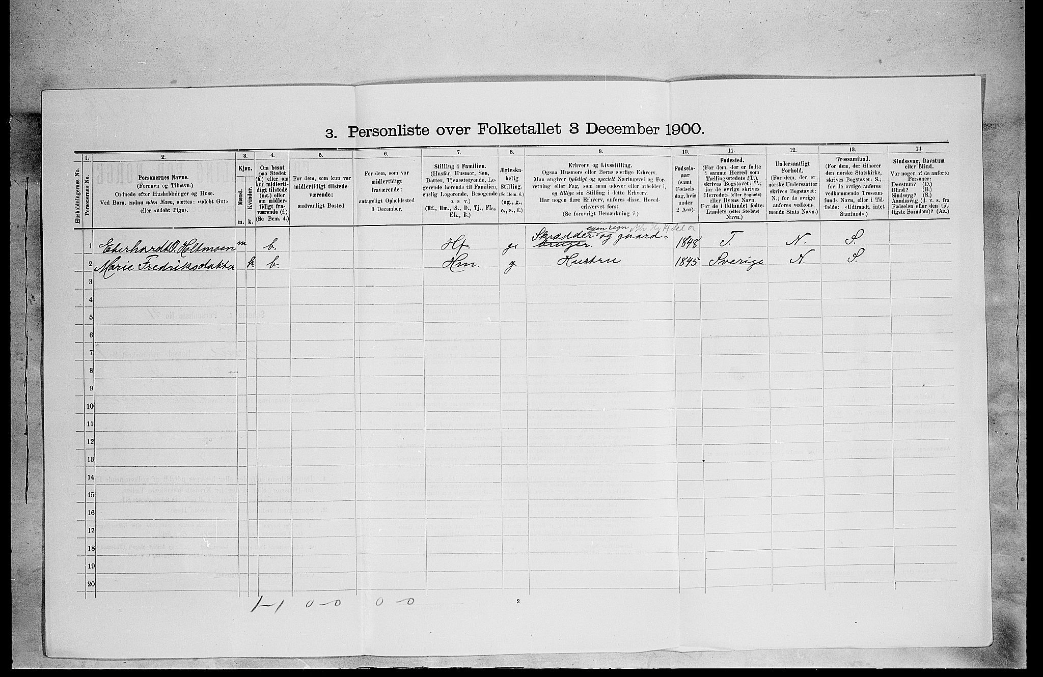SAH, 1900 census for Grue, 1900, p. 1294