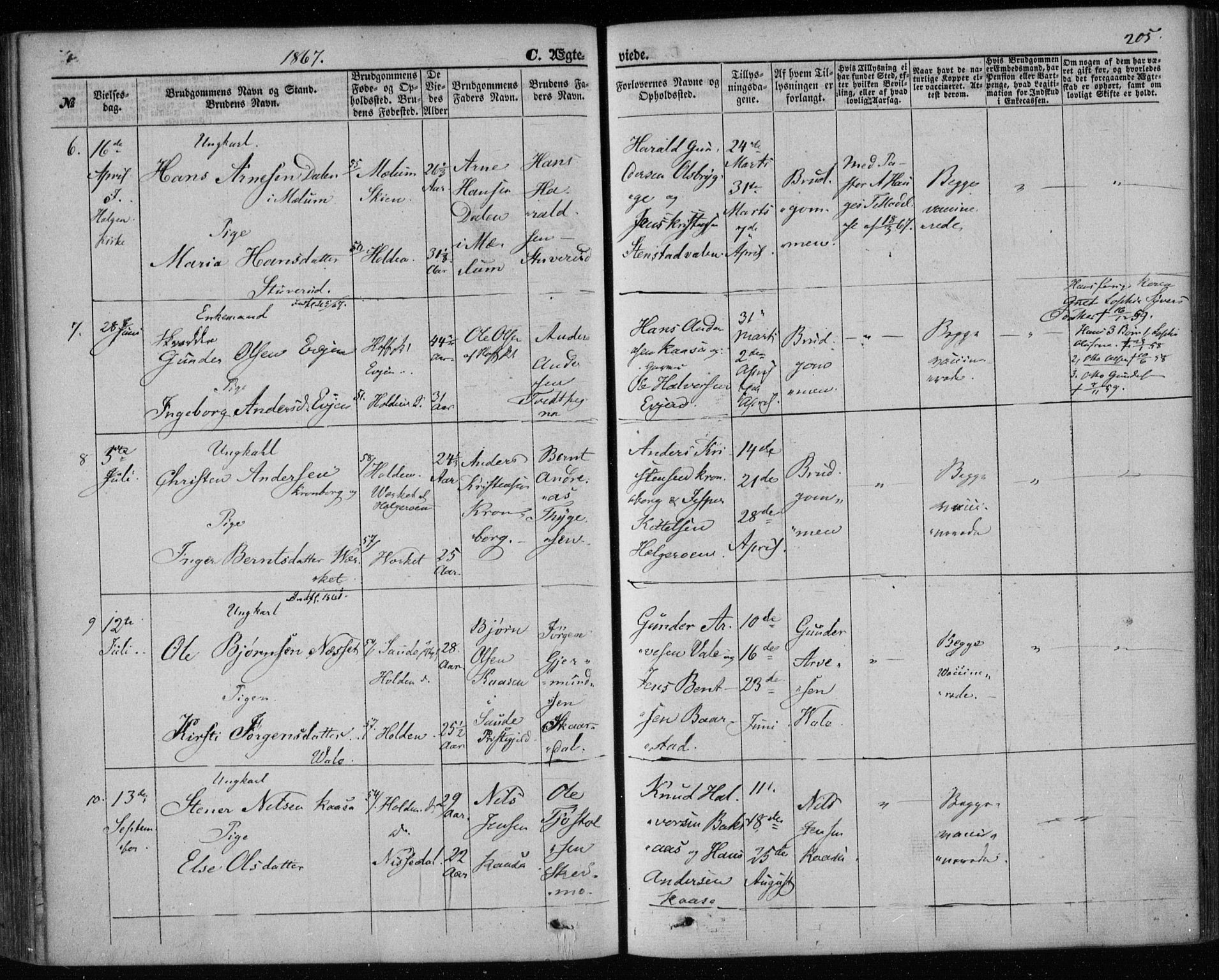 Holla kirkebøker, SAKO/A-272/F/Fa/L0006: Parish register (official) no. 6, 1861-1869, p. 205