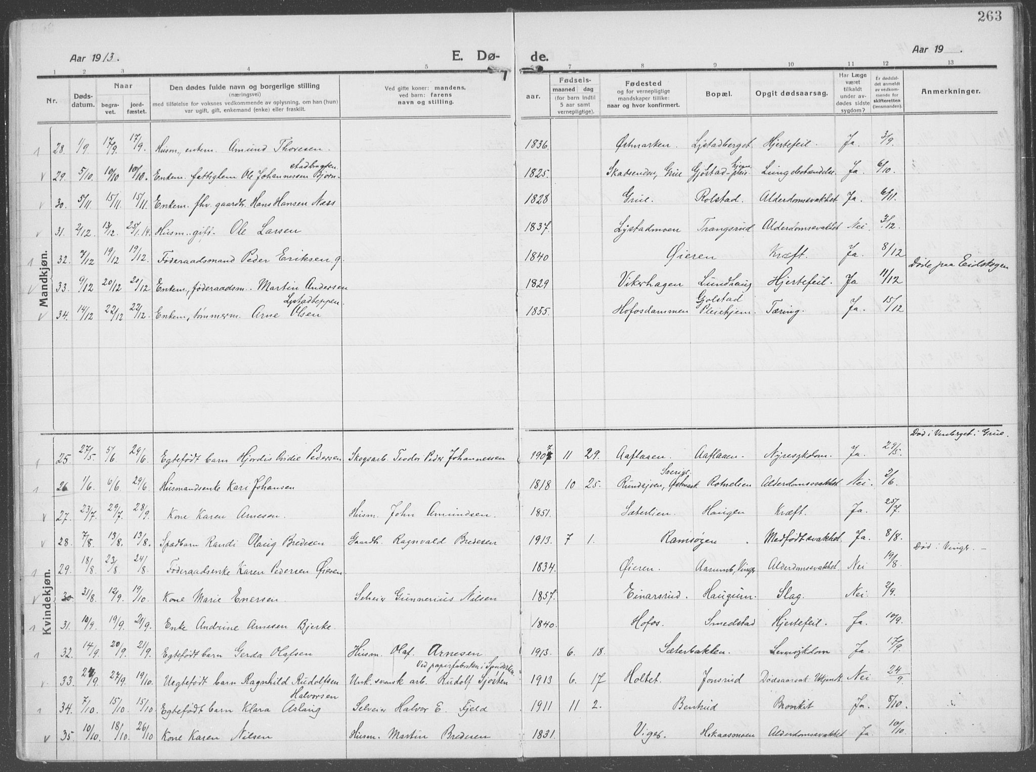 Brandval prestekontor, AV/SAH-PREST-034/H/Ha/Haa/L0004: Parish register (official) no. 4, 1910-1924, p. 263