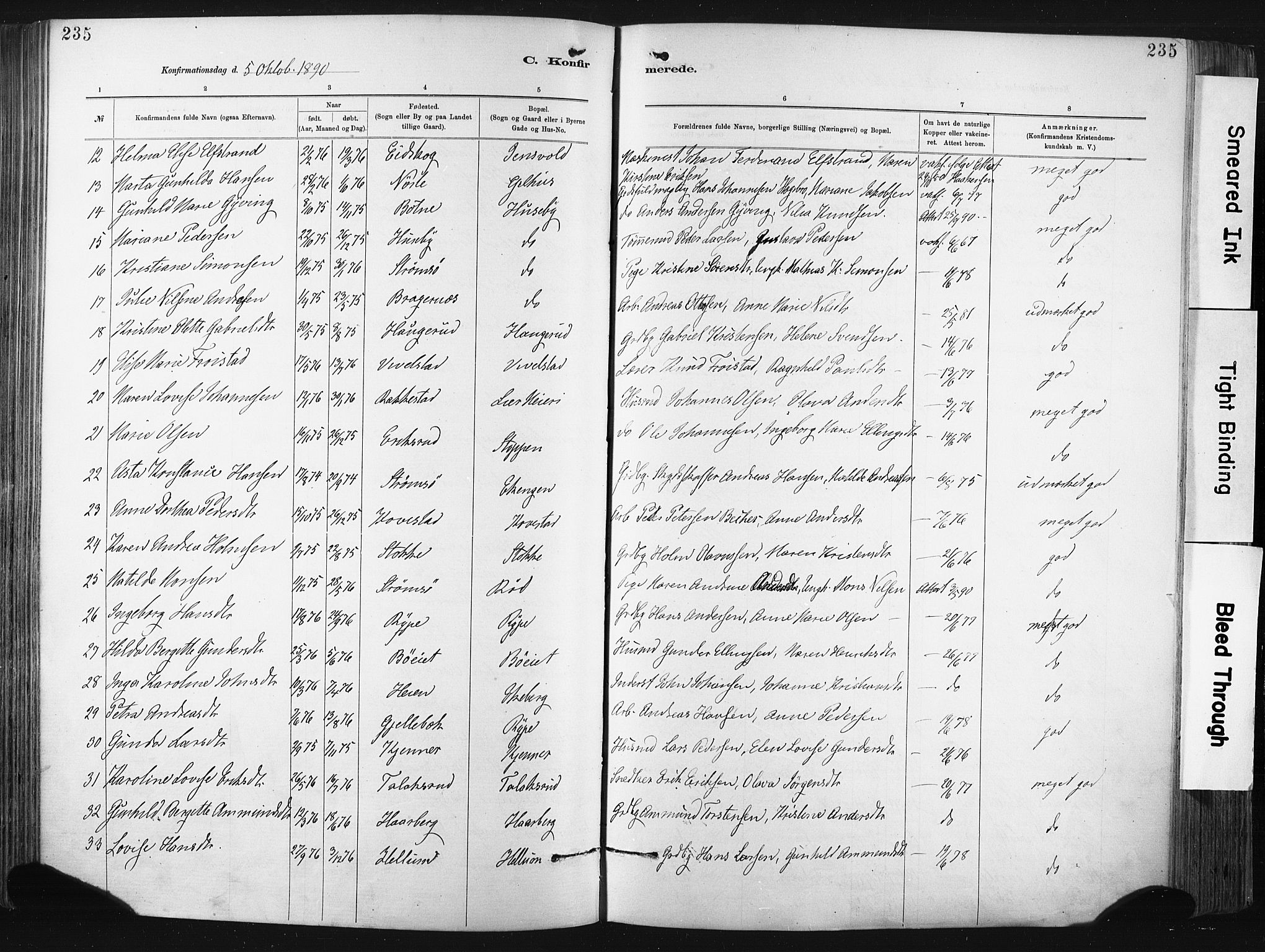 Lier kirkebøker, AV/SAKO-A-230/F/Fa/L0015: Parish register (official) no. I 15, 1883-1894, p. 235