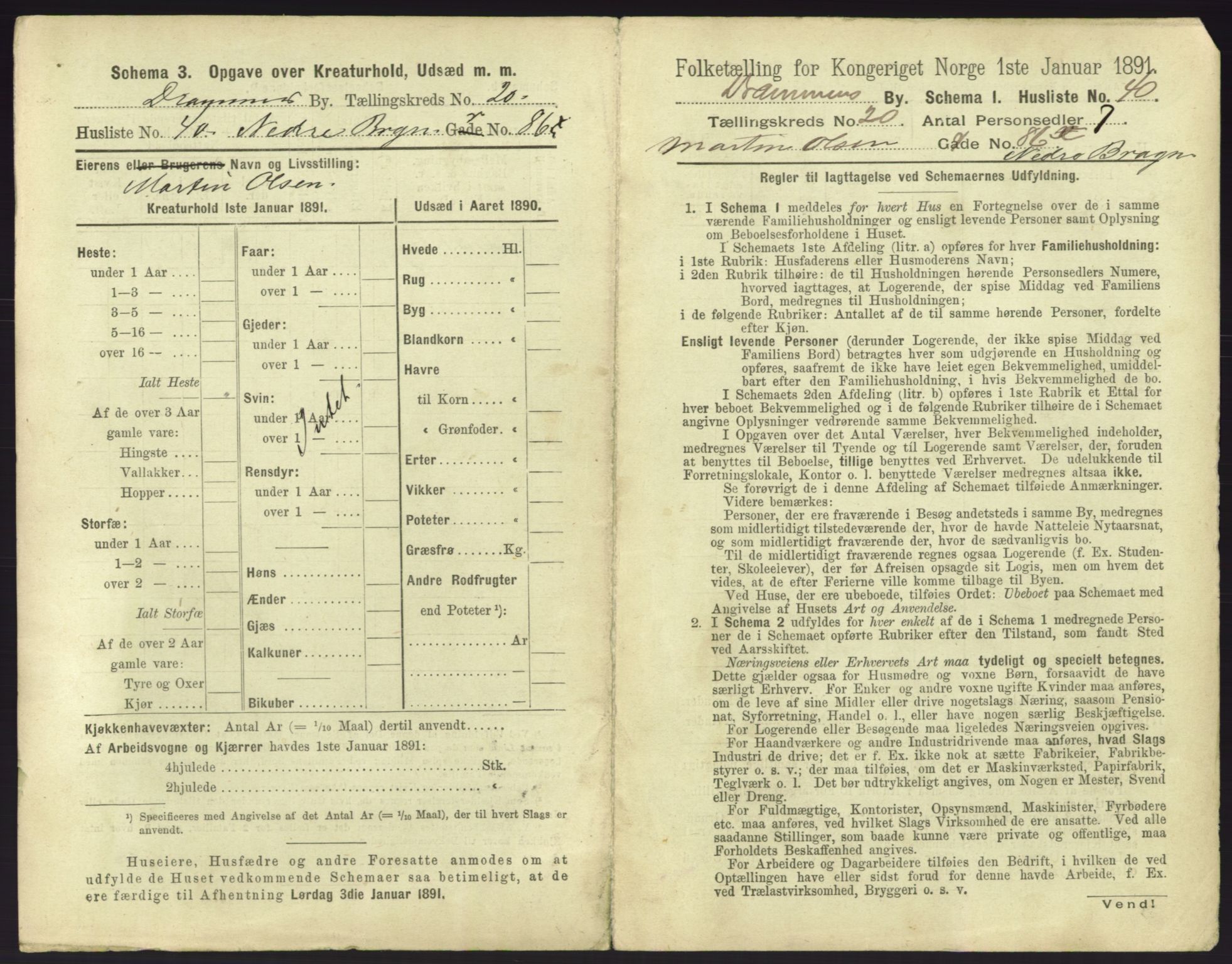 RA, 1891 census for 0602 Drammen, 1891, p. 1733