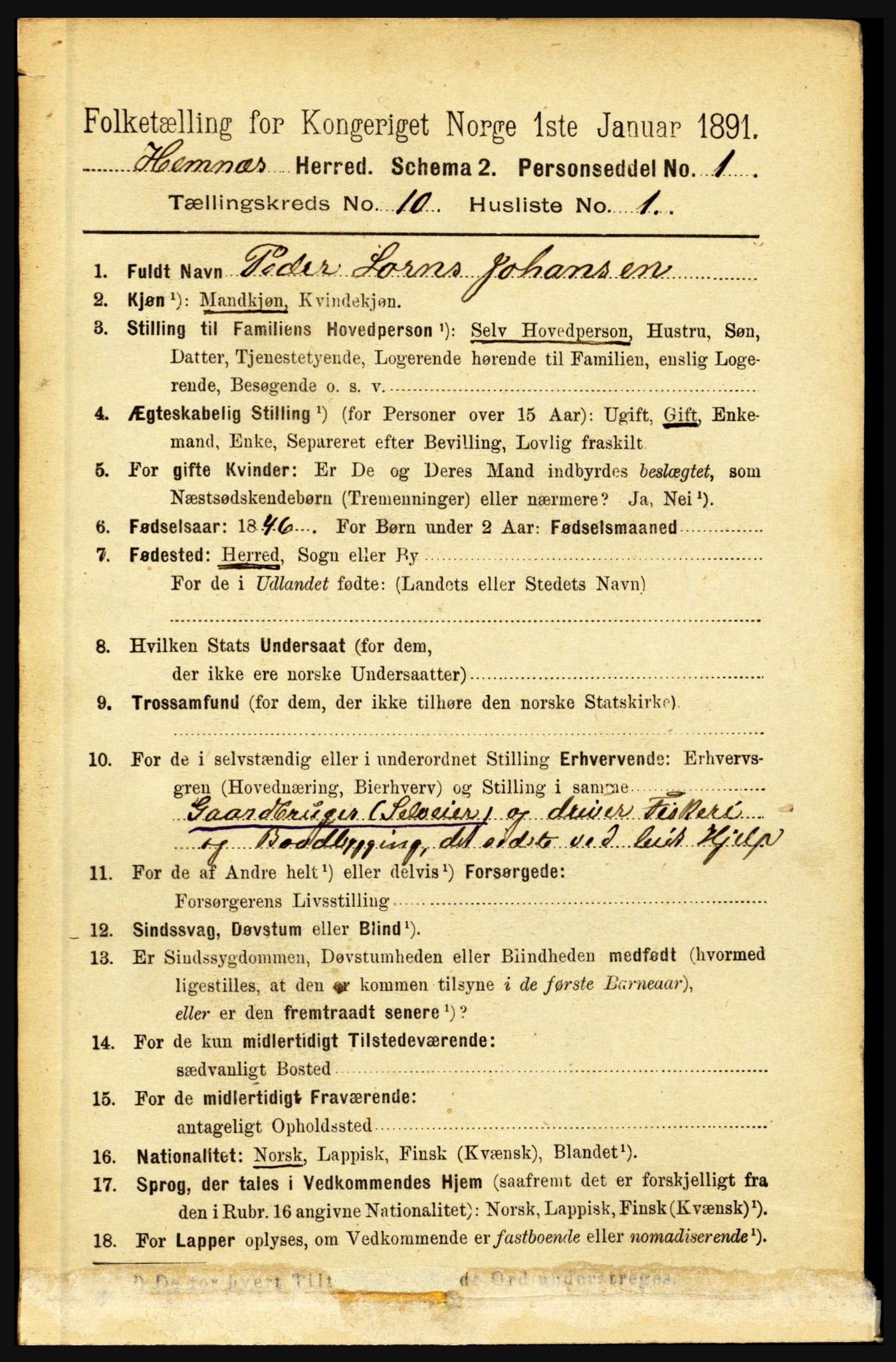 RA, 1891 census for 1832 Hemnes, 1891, p. 4797