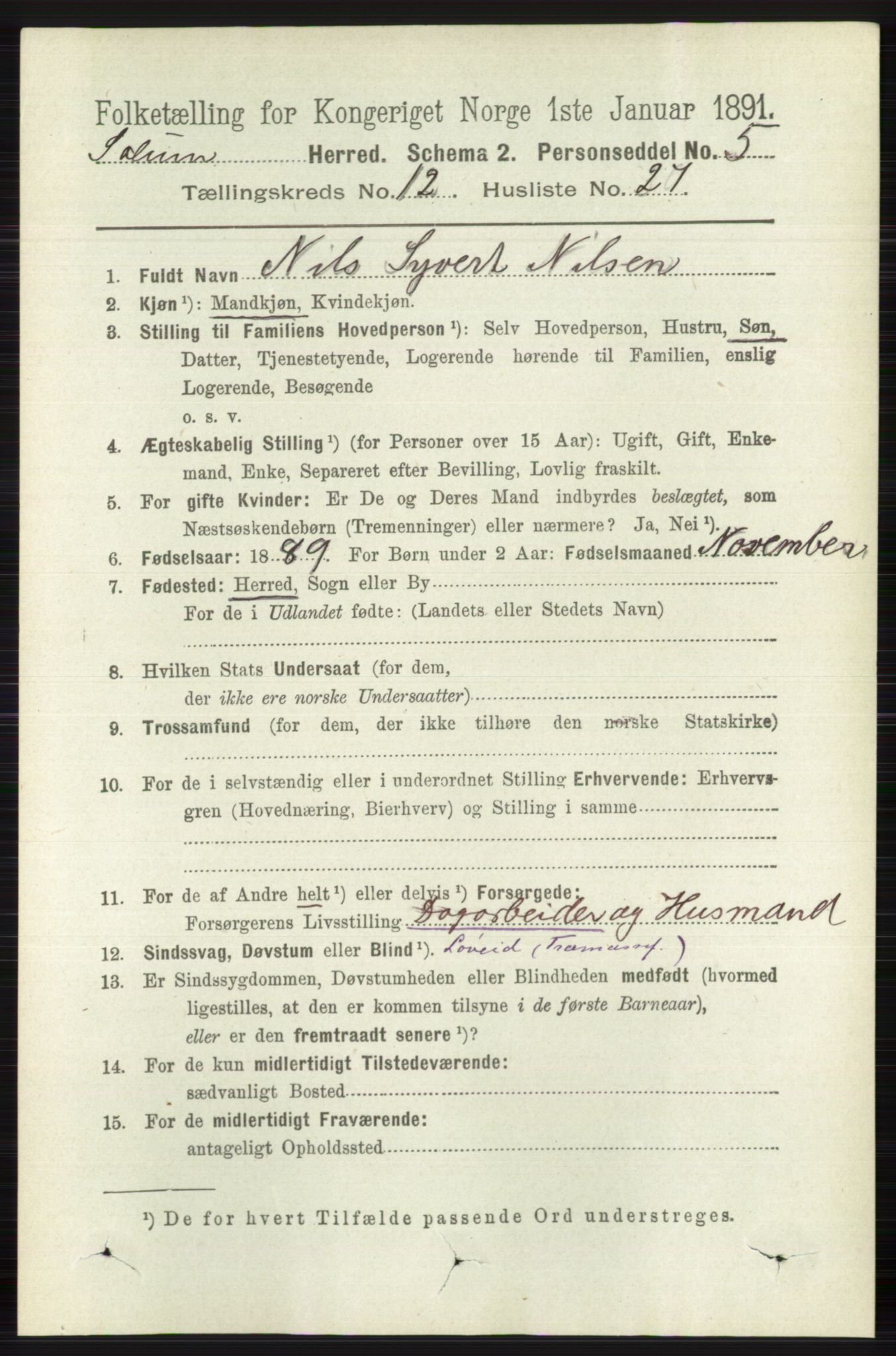 RA, 1891 census for 0818 Solum, 1891, p. 5742