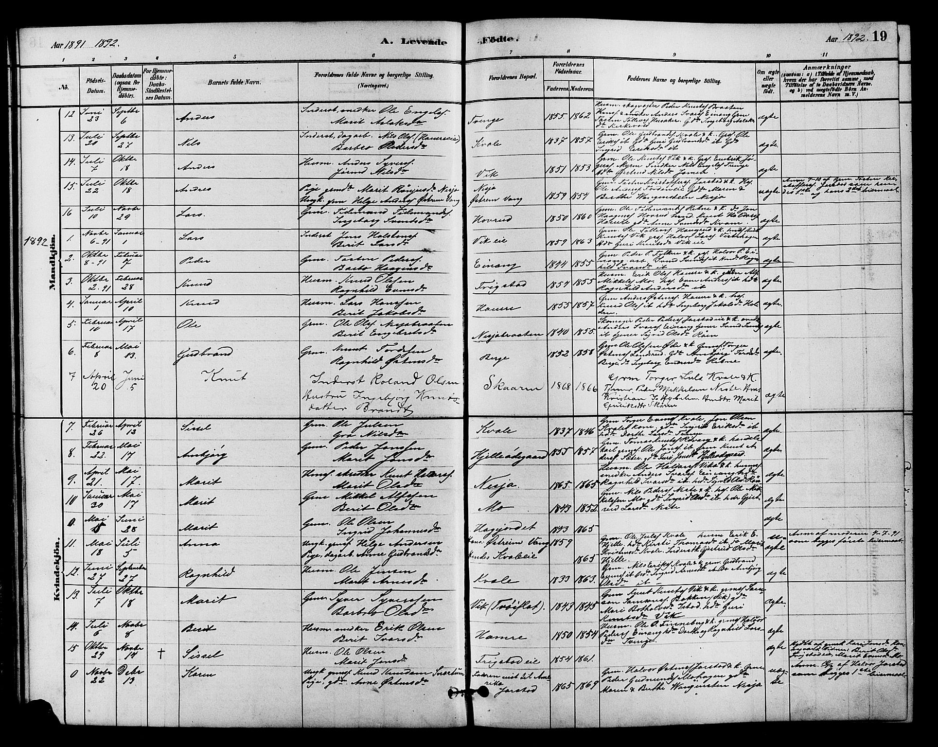 Vestre Slidre prestekontor, SAH/PREST-136/H/Ha/Hab/L0004: Parish register (copy) no. 4, 1881-1912, p. 19