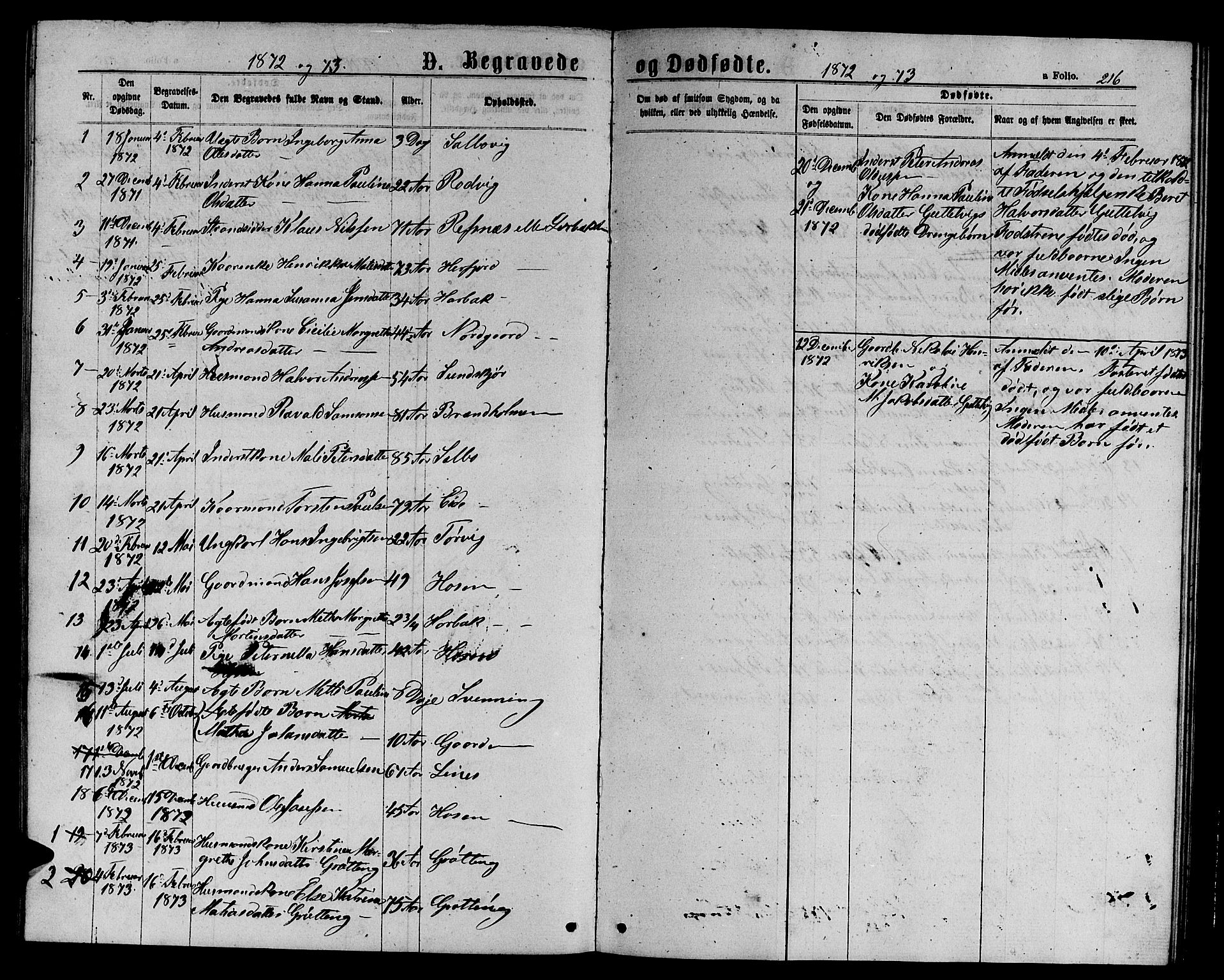 Ministerialprotokoller, klokkerbøker og fødselsregistre - Sør-Trøndelag, SAT/A-1456/656/L0695: Parish register (copy) no. 656C01, 1867-1889, p. 216