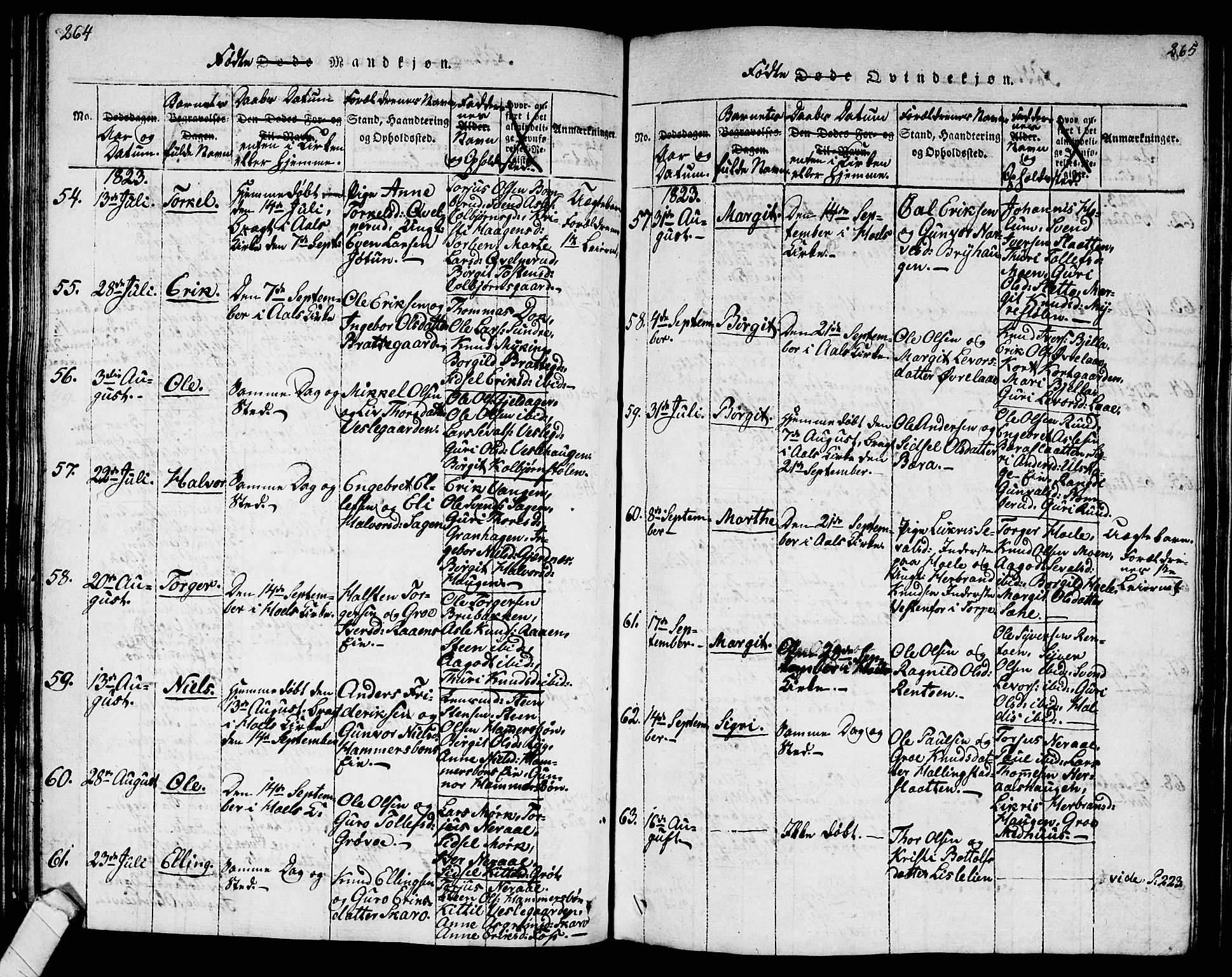 Ål kirkebøker, AV/SAKO-A-249/G/Ga/L0001: Parish register (copy) no. 1, 1815-1829, p. 264-265