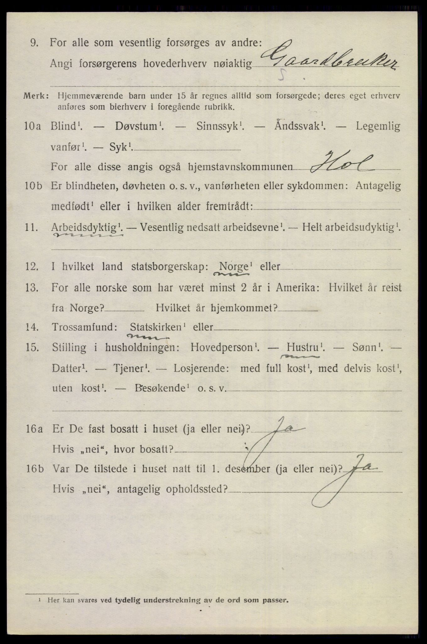 SAKO, 1920 census for Hol (Buskerud), 1920, p. 3780