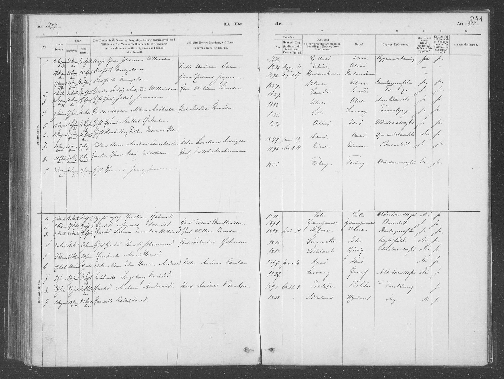Askvoll sokneprestembete, SAB/A-79501/H/Haa/Haac/L0001: Parish register (official) no. C  1, 1879-1922, p. 244