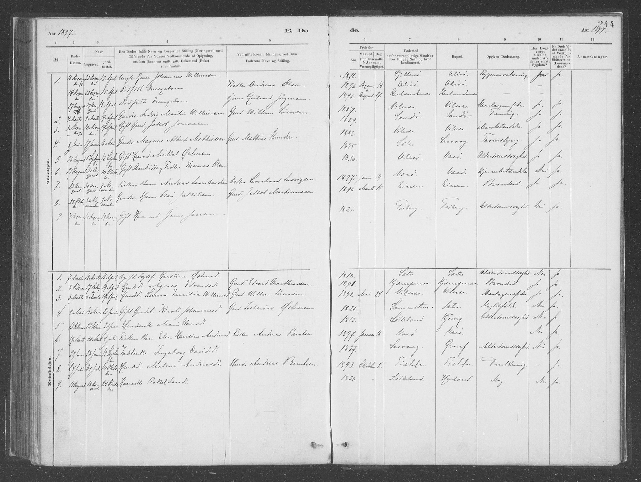 Askvoll sokneprestembete, AV/SAB-A-79501/H/Haa/Haac/L0001: Parish register (official) no. C  1, 1879-1922, p. 244