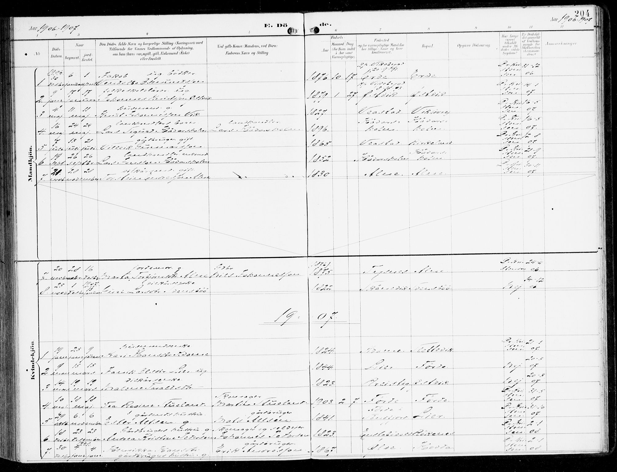 Sveio Sokneprestembete, SAB/A-78501/H/Haa: Parish register (official) no. D 2, 1894-1916, p. 204