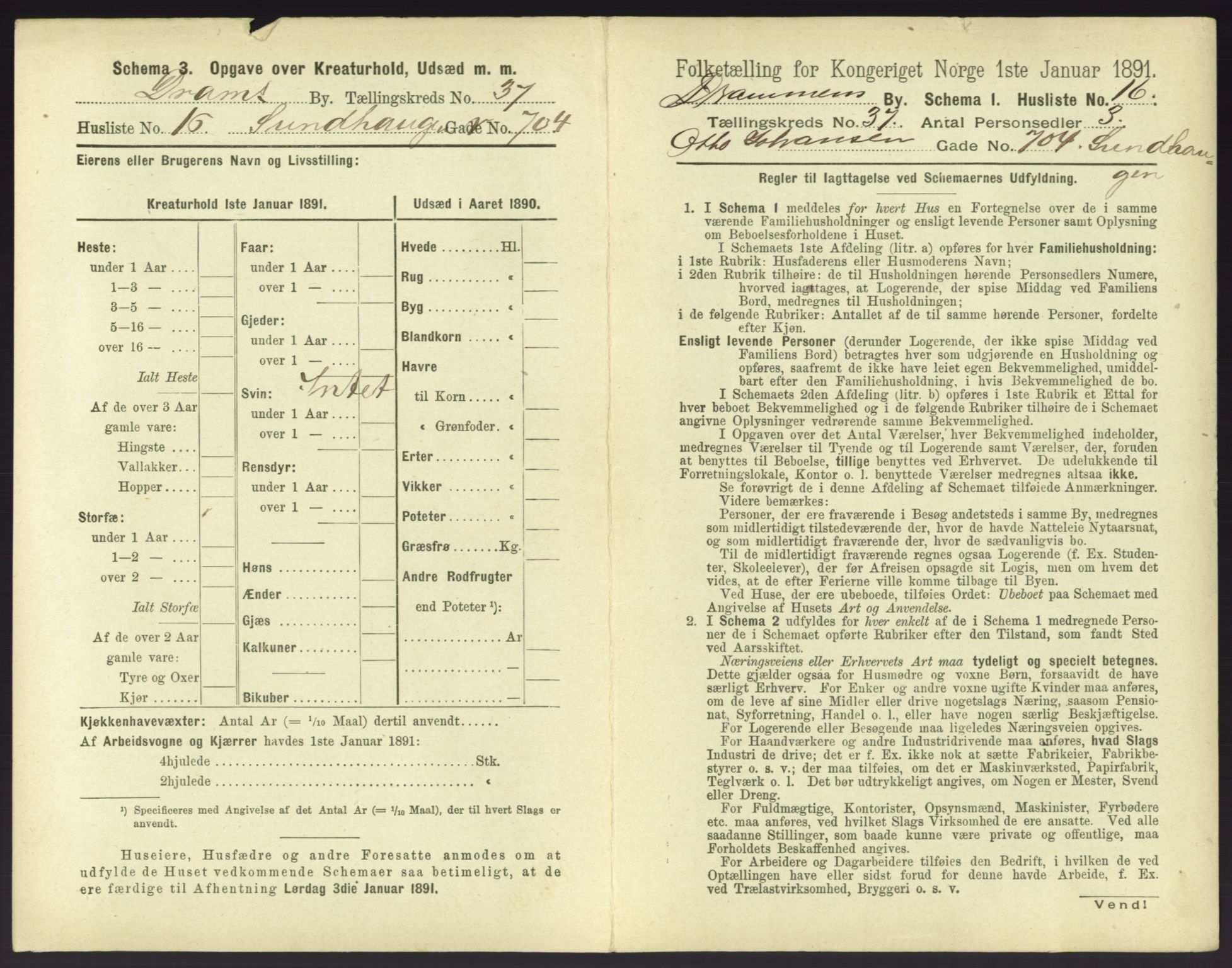 RA, 1891 census for 0602 Drammen, 1891, p. 3391