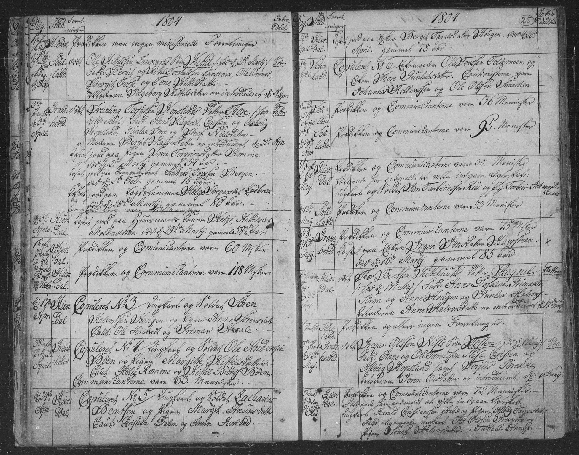 Hjartdal kirkebøker, SAKO/A-270/F/Fa/L0006: Parish register (official) no. I 6, 1801-1814, p. 25