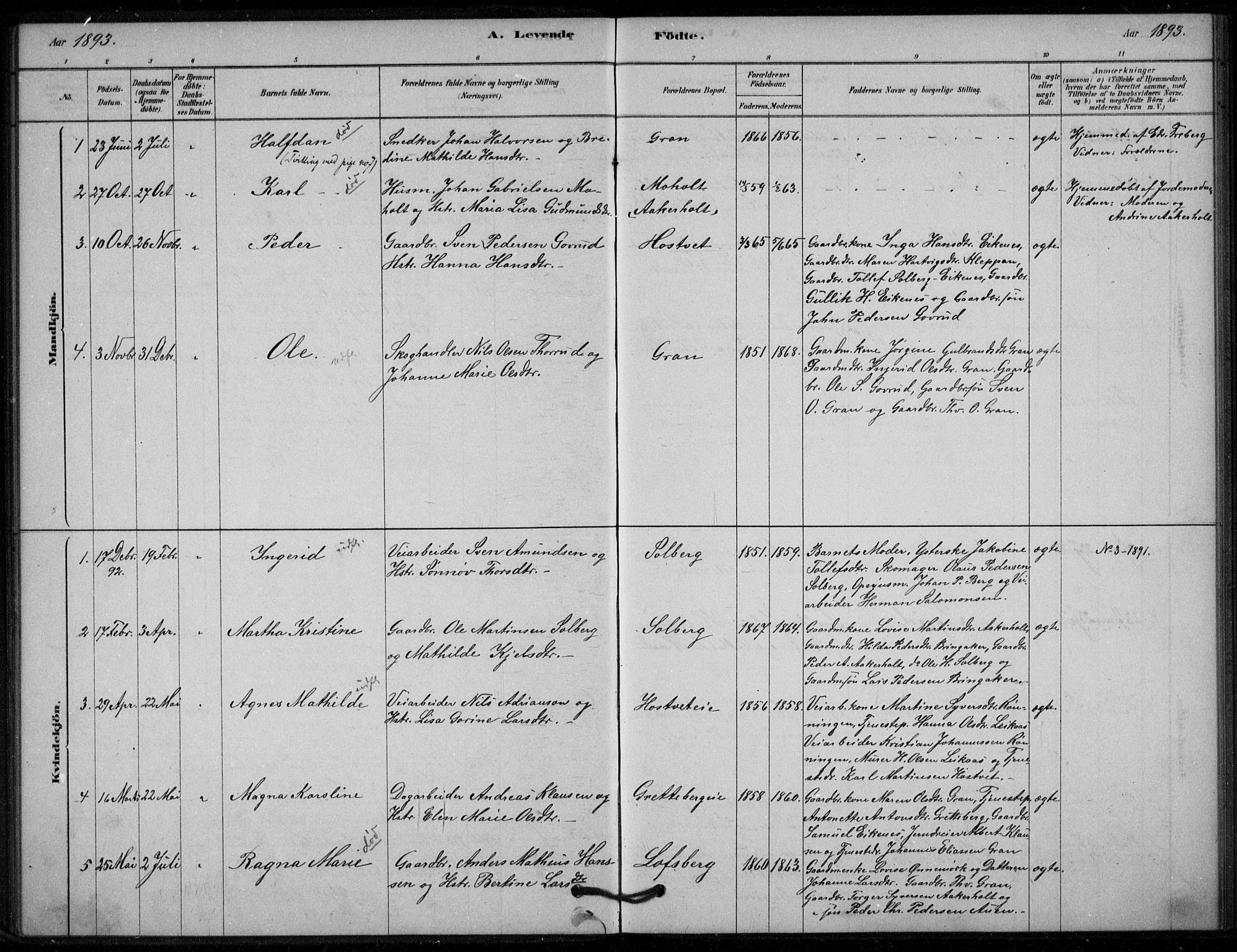 Hof kirkebøker, AV/SAKO-A-64/G/Gb/L0002: Parish register (copy) no. II 2, 1878-1902