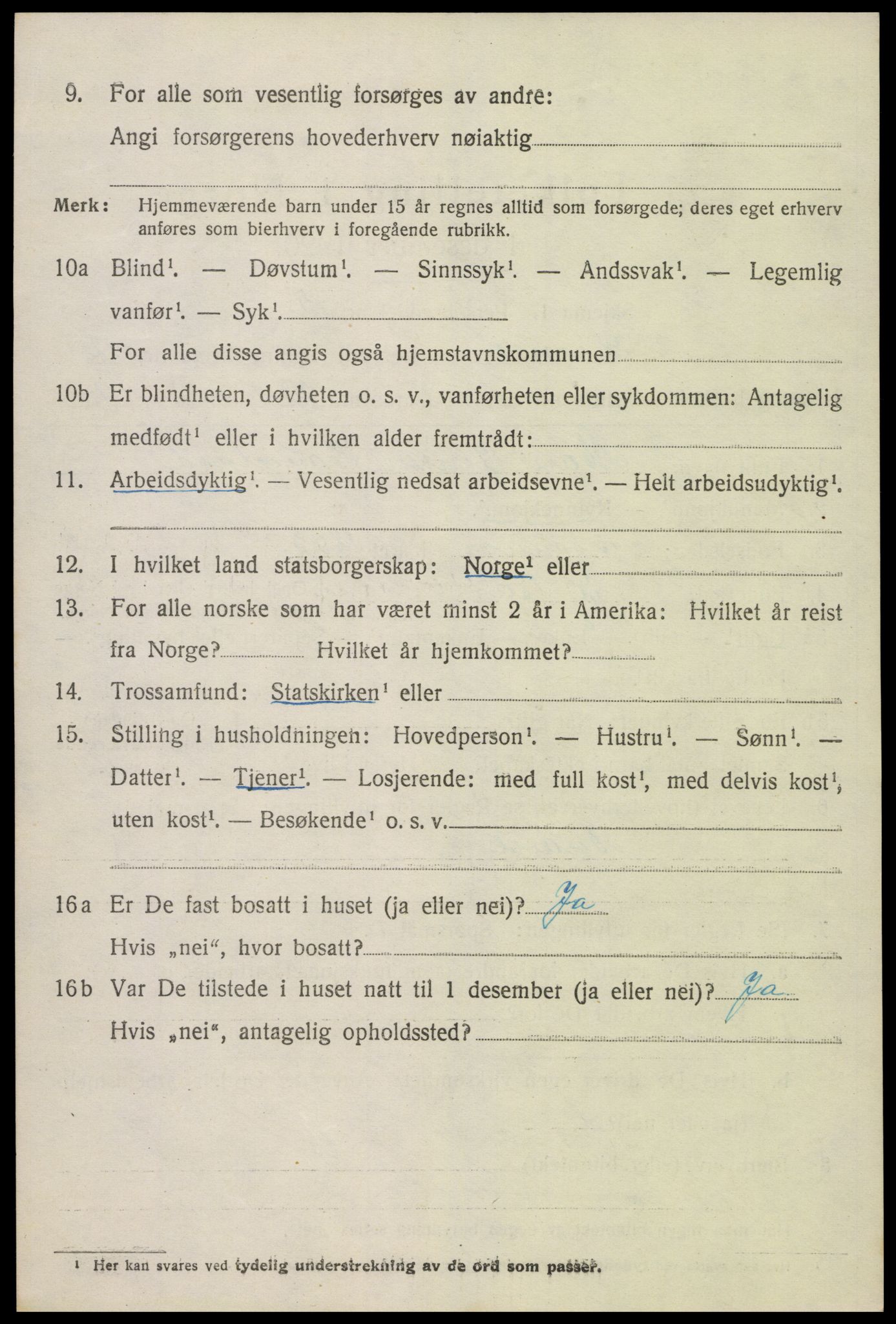 SAK, 1920 census for Hornnes, 1920, p. 2906