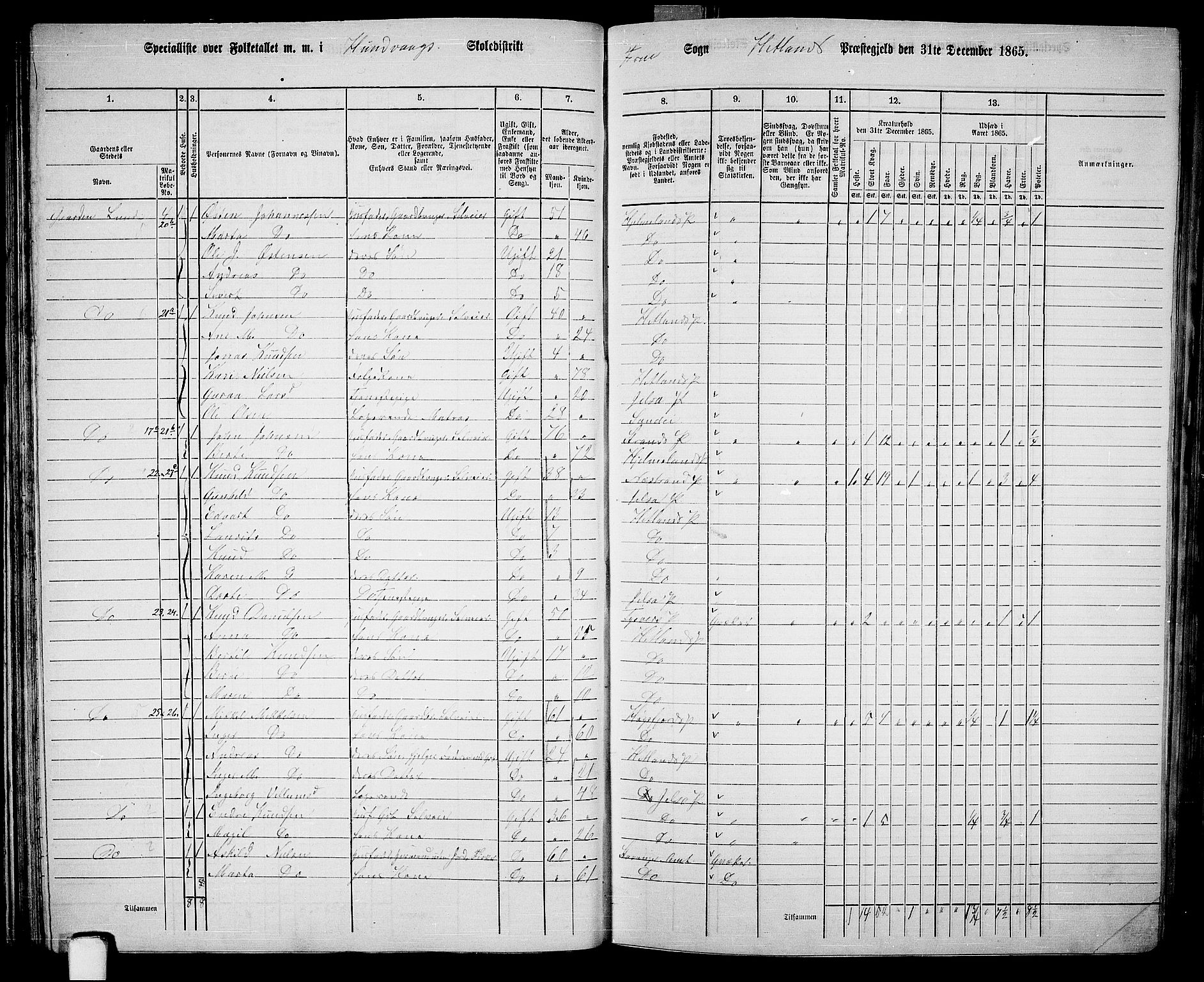 RA, 1865 census for Hetland, 1865, p. 39