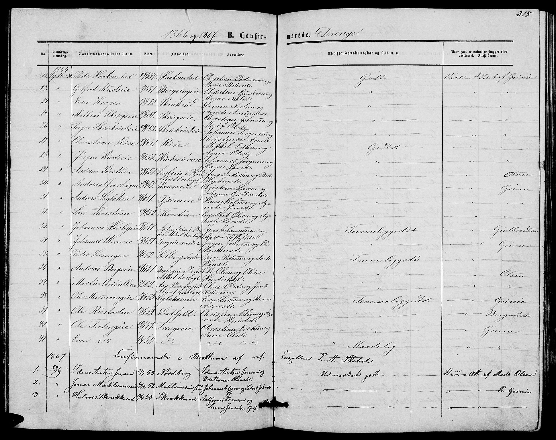 Ringsaker prestekontor, AV/SAH-PREST-014/L/La/L0007: Parish register (copy) no. 7, 1861-1869, p. 215