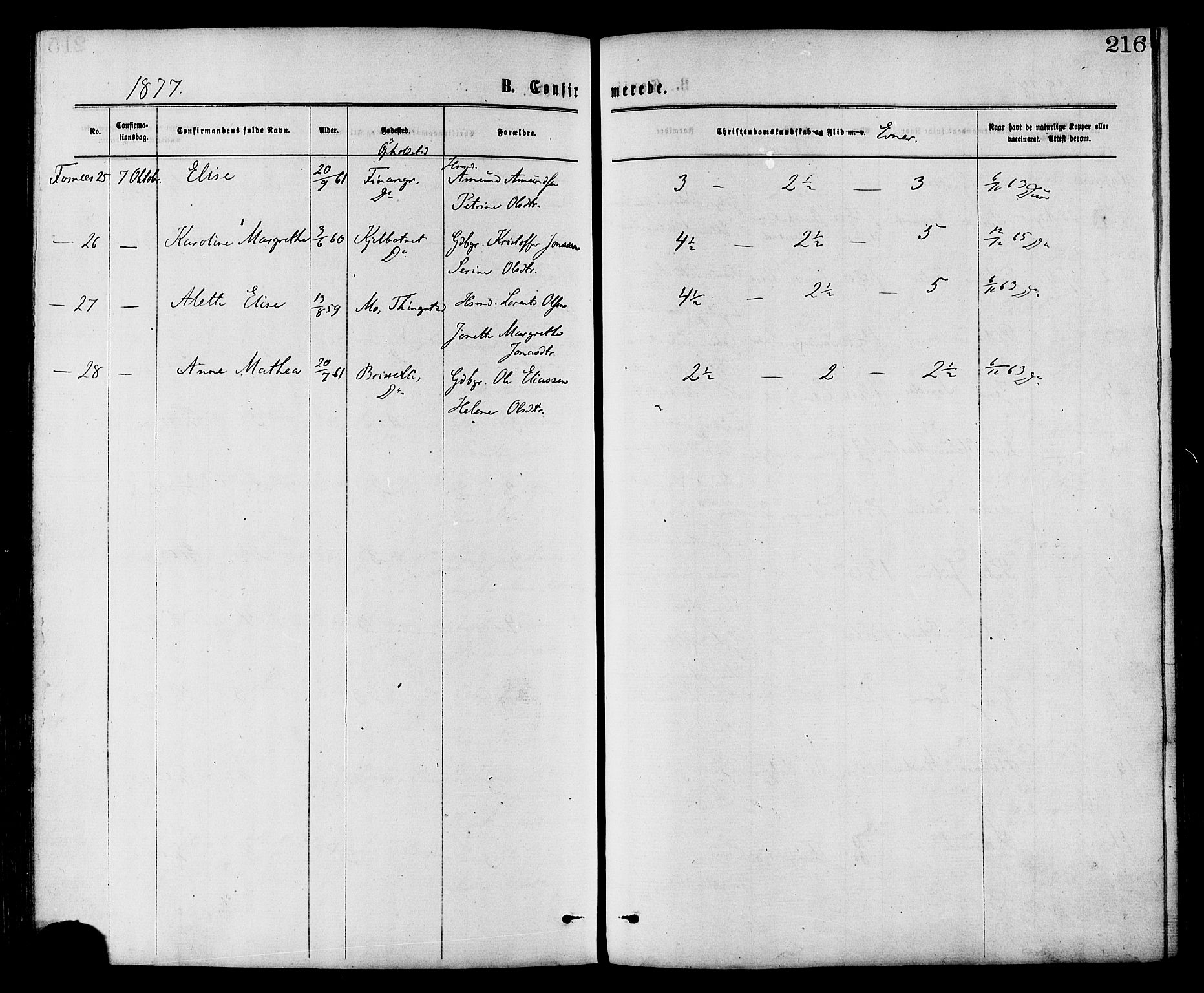 Ministerialprotokoller, klokkerbøker og fødselsregistre - Nord-Trøndelag, AV/SAT-A-1458/773/L0616: Parish register (official) no. 773A07, 1870-1887, p. 216