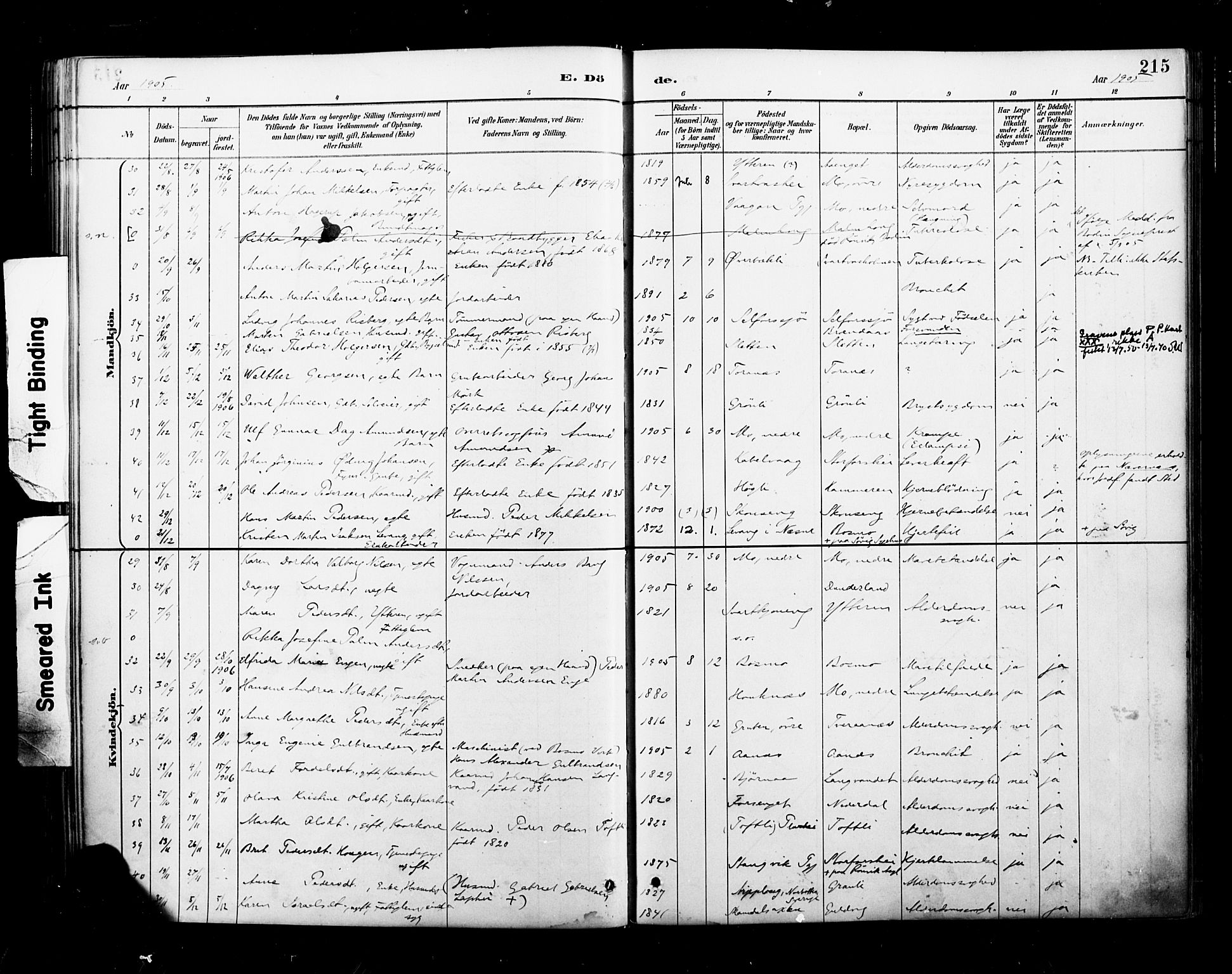 Ministerialprotokoller, klokkerbøker og fødselsregistre - Nordland, AV/SAT-A-1459/827/L0401: Parish register (official) no. 827A13, 1887-1905, p. 215