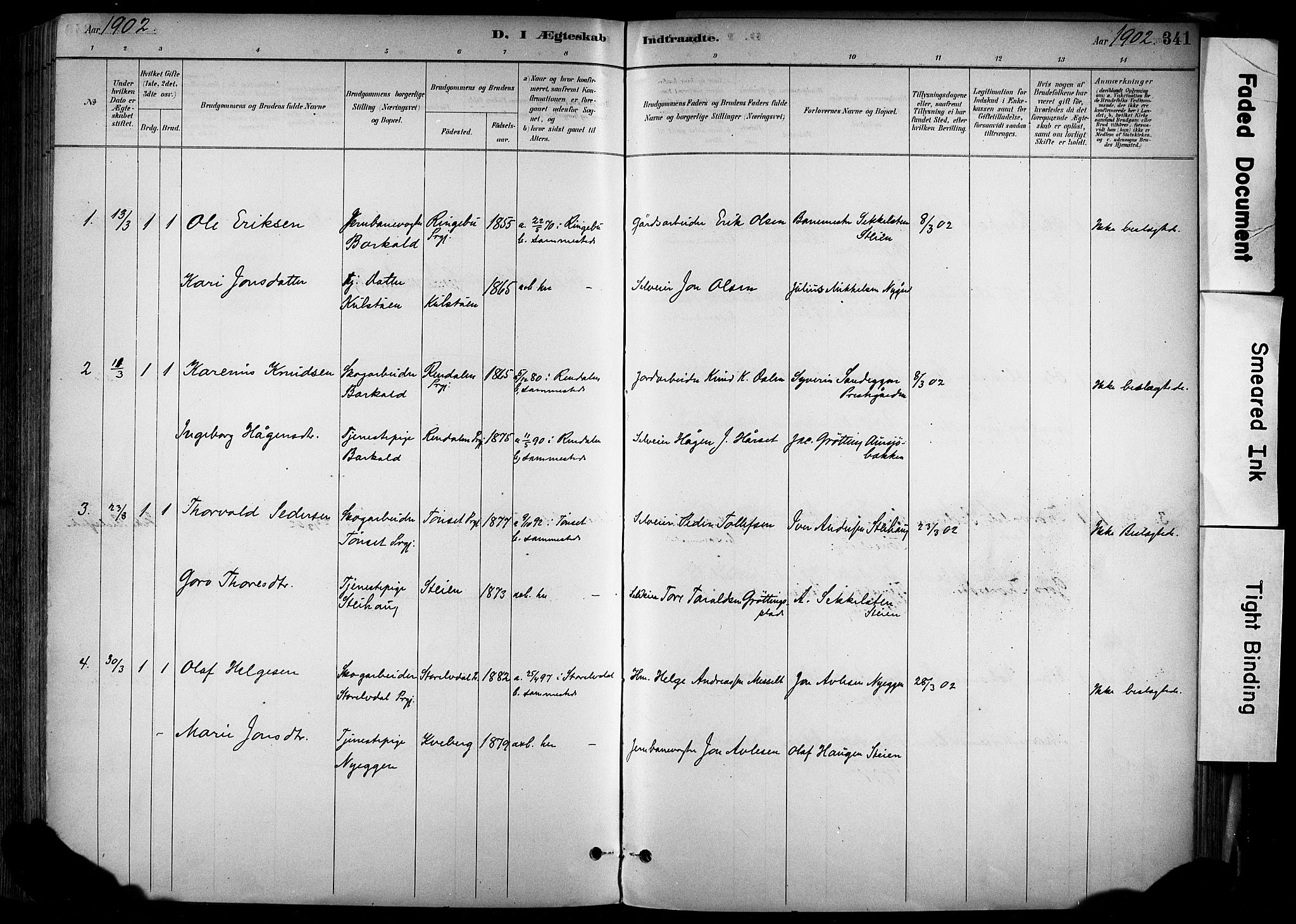 Alvdal prestekontor, SAH/PREST-060/H/Ha/Haa/L0002: Parish register (official) no. 2, 1883-1906, p. 341