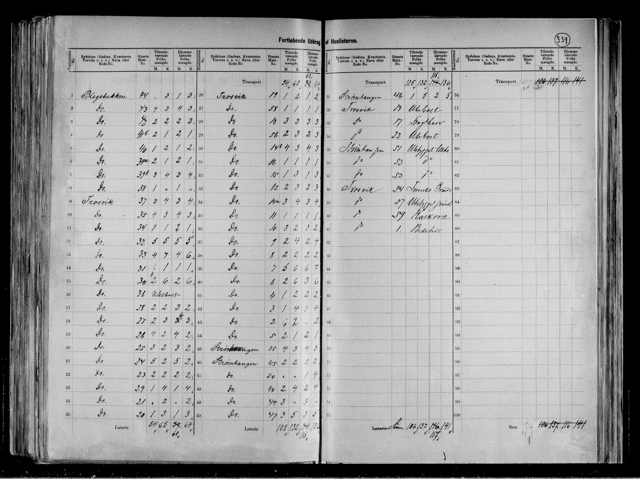 RA, 1891 census for 0804 Brevik, 1891, p. 15