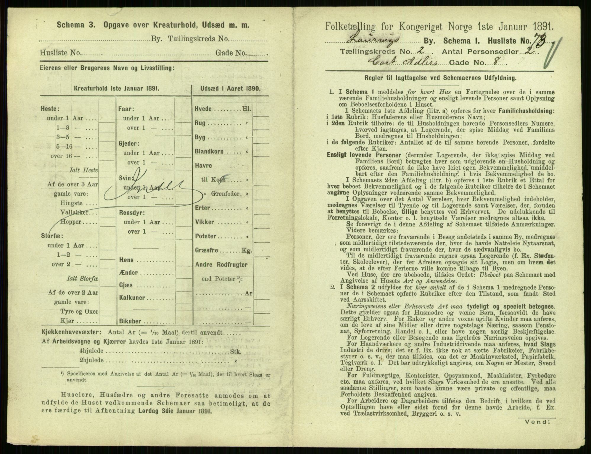 RA, 1891 census for 0707 Larvik, 1891, p. 365