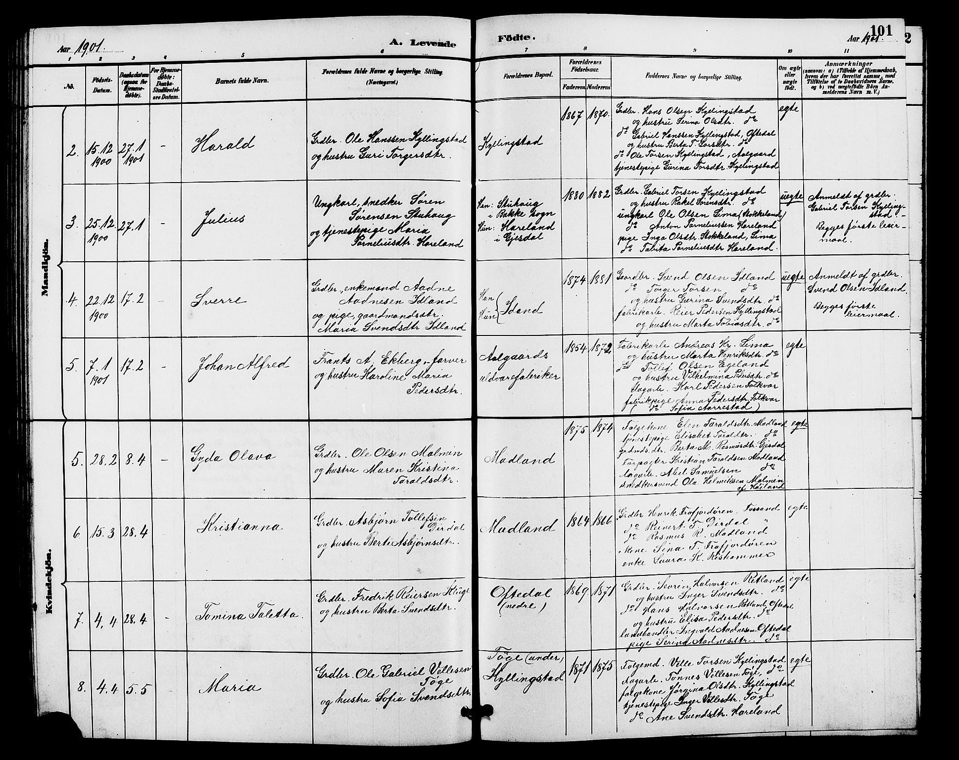 Lye sokneprestkontor, AV/SAST-A-101794/001/30BB/L0008: Parish register (copy) no. B 7, 1887-1901, p. 101