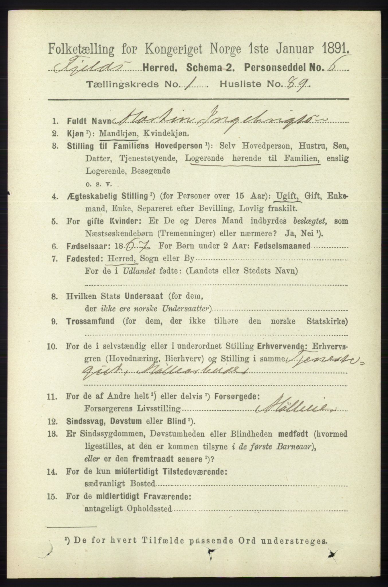 RA, 1891 census for 1246 Fjell, 1891, p. 617