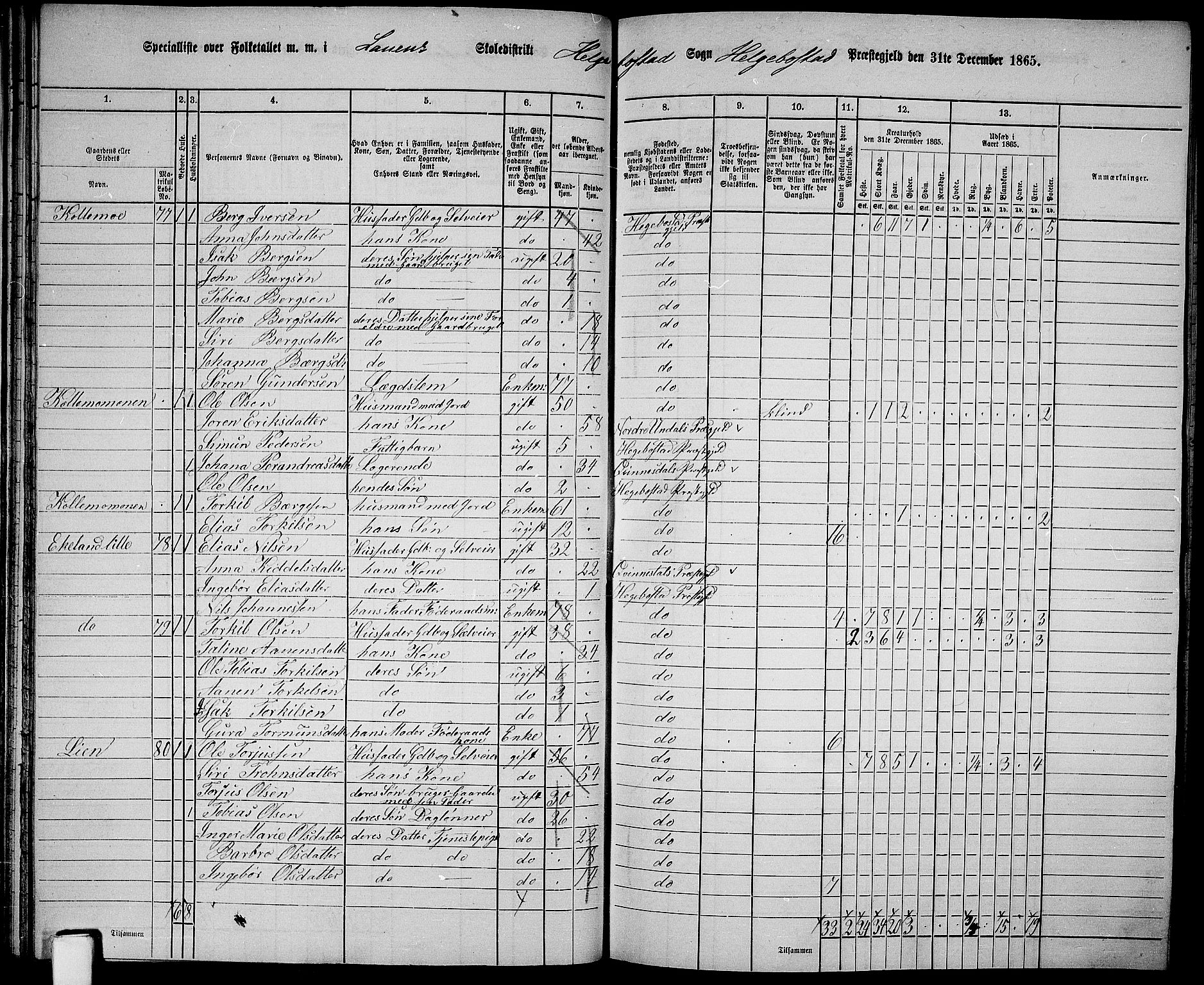 RA, 1865 census for Hægebostad, 1865, p. 48