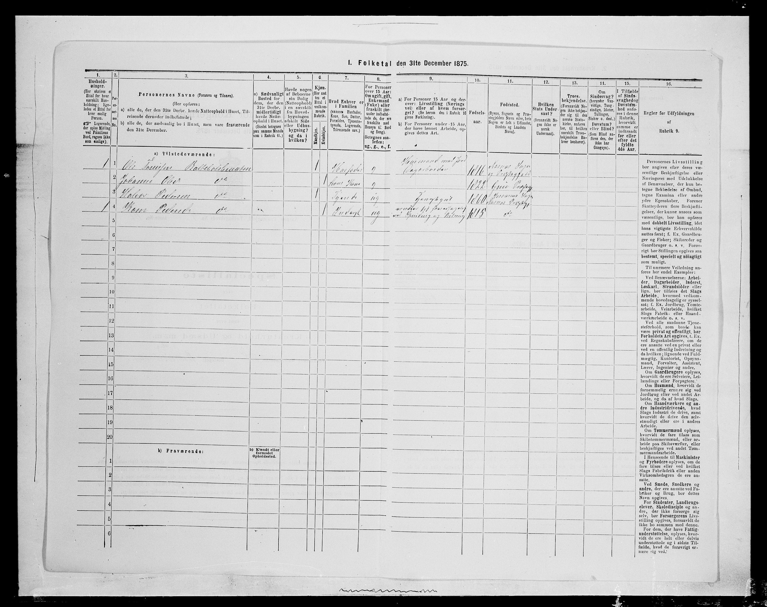 SAH, 1875 census for 0425P Åsnes, 1875, p. 691