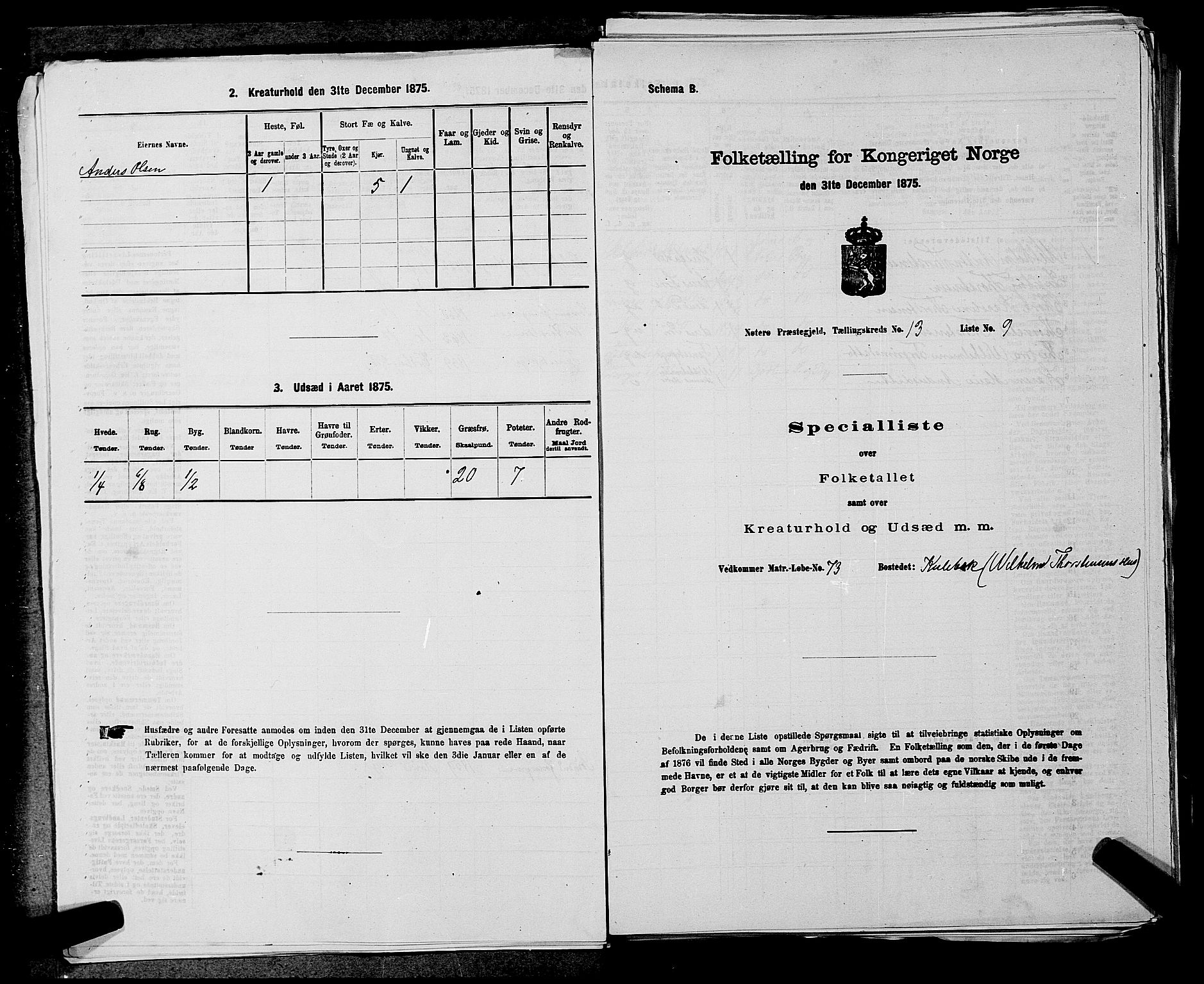 SAKO, 1875 census for 0722P Nøtterøy, 1875, p. 2863