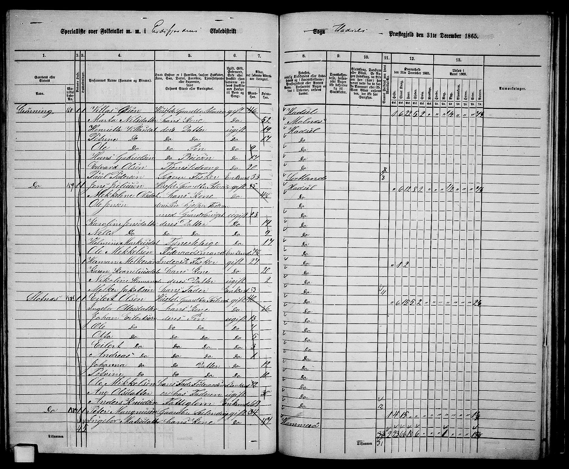 RA, 1865 census for Hadsel, 1865, p. 136