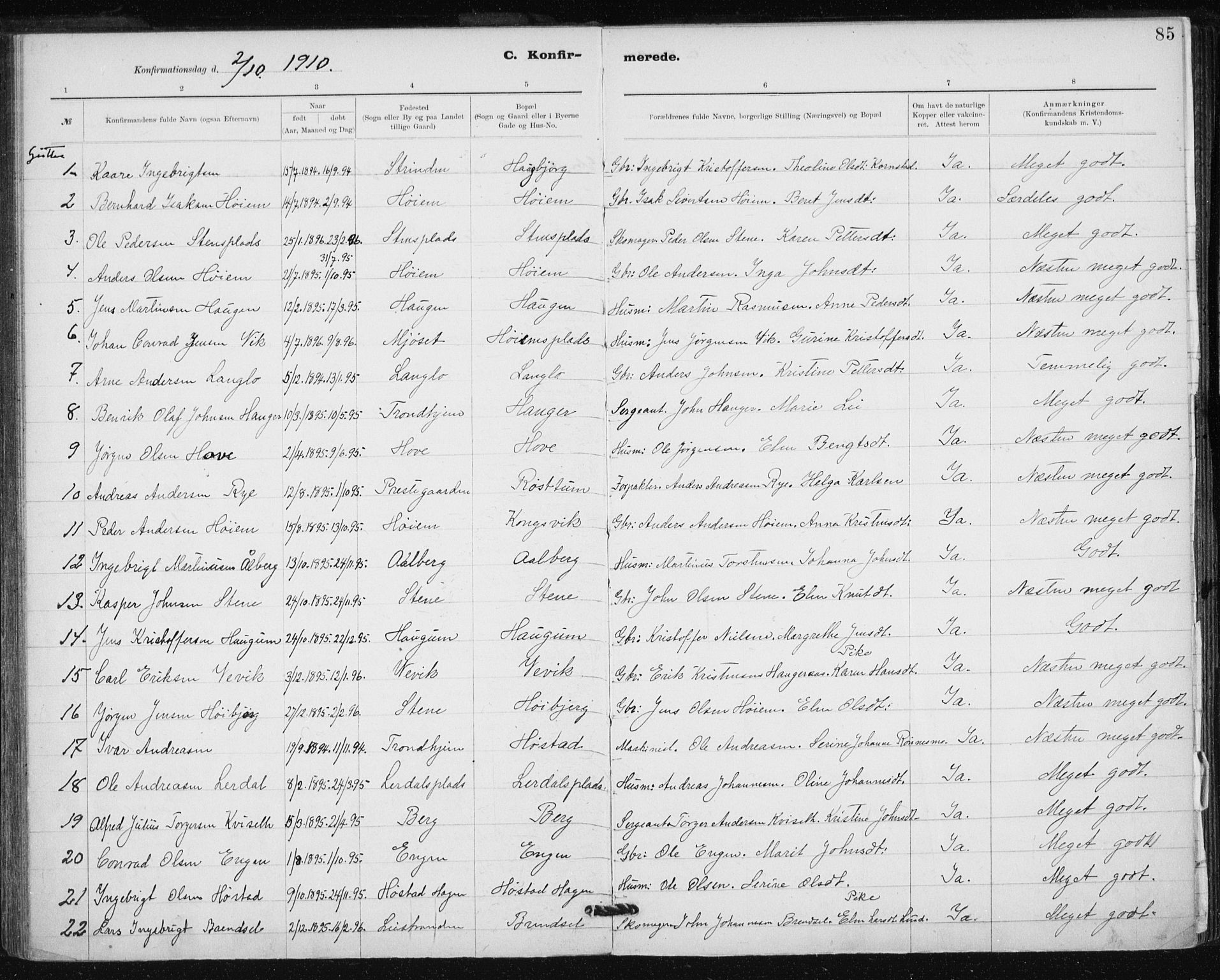 Ministerialprotokoller, klokkerbøker og fødselsregistre - Sør-Trøndelag, AV/SAT-A-1456/612/L0381: Parish register (official) no. 612A13, 1907-1923, p. 85