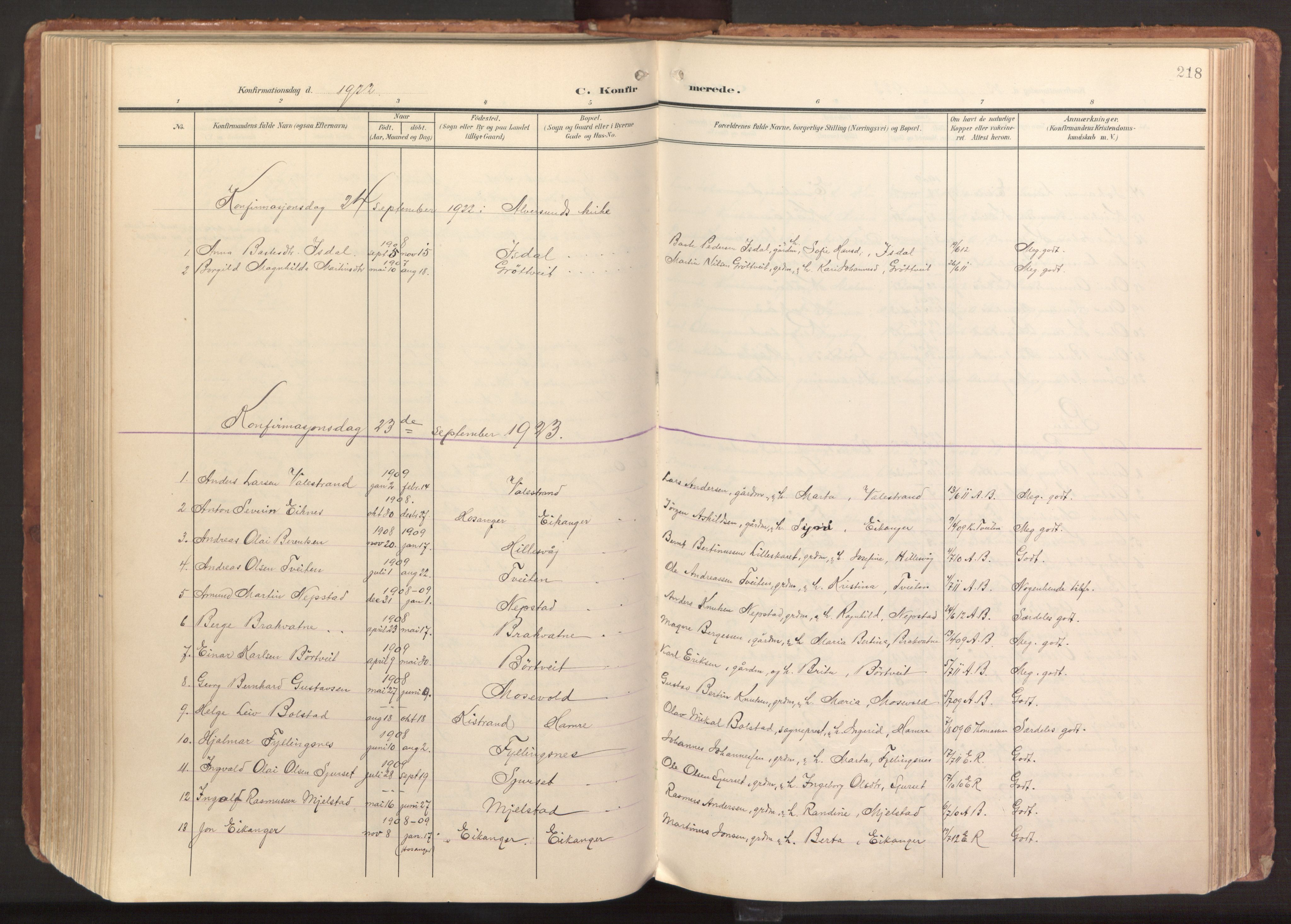 Hamre sokneprestembete, AV/SAB-A-75501/H/Ha/Haa/Haab/L0002: Parish register (official) no. B 2, 1905-1924, p. 218