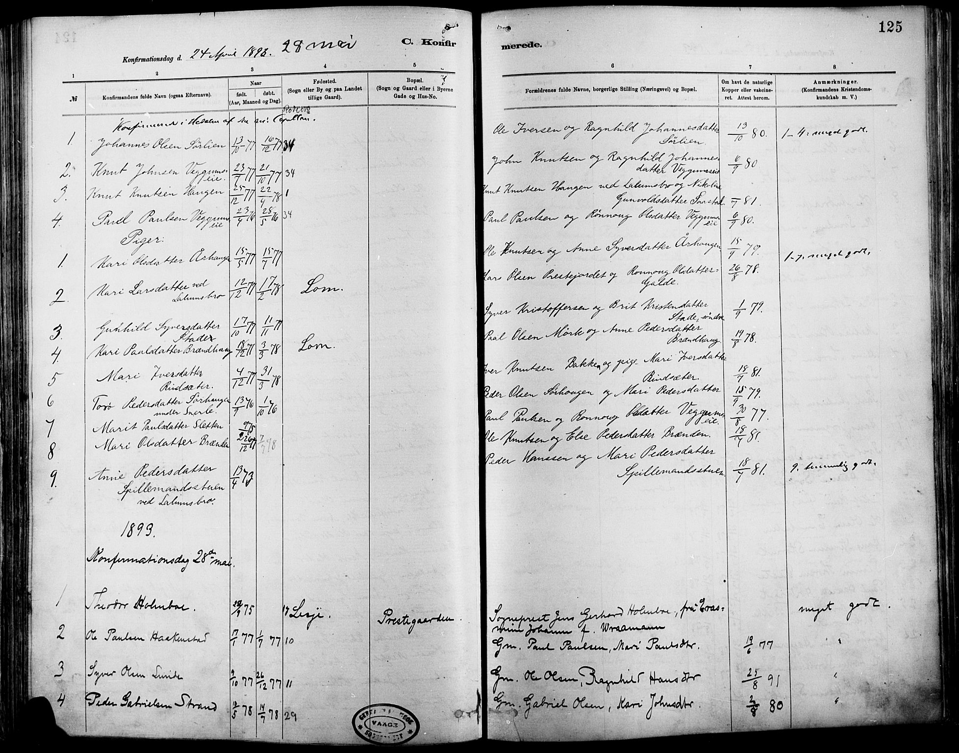 Vågå prestekontor, SAH/PREST-076/H/Ha/Haa/L0009: Parish register (official) no. 9, 1886-1904, p. 125