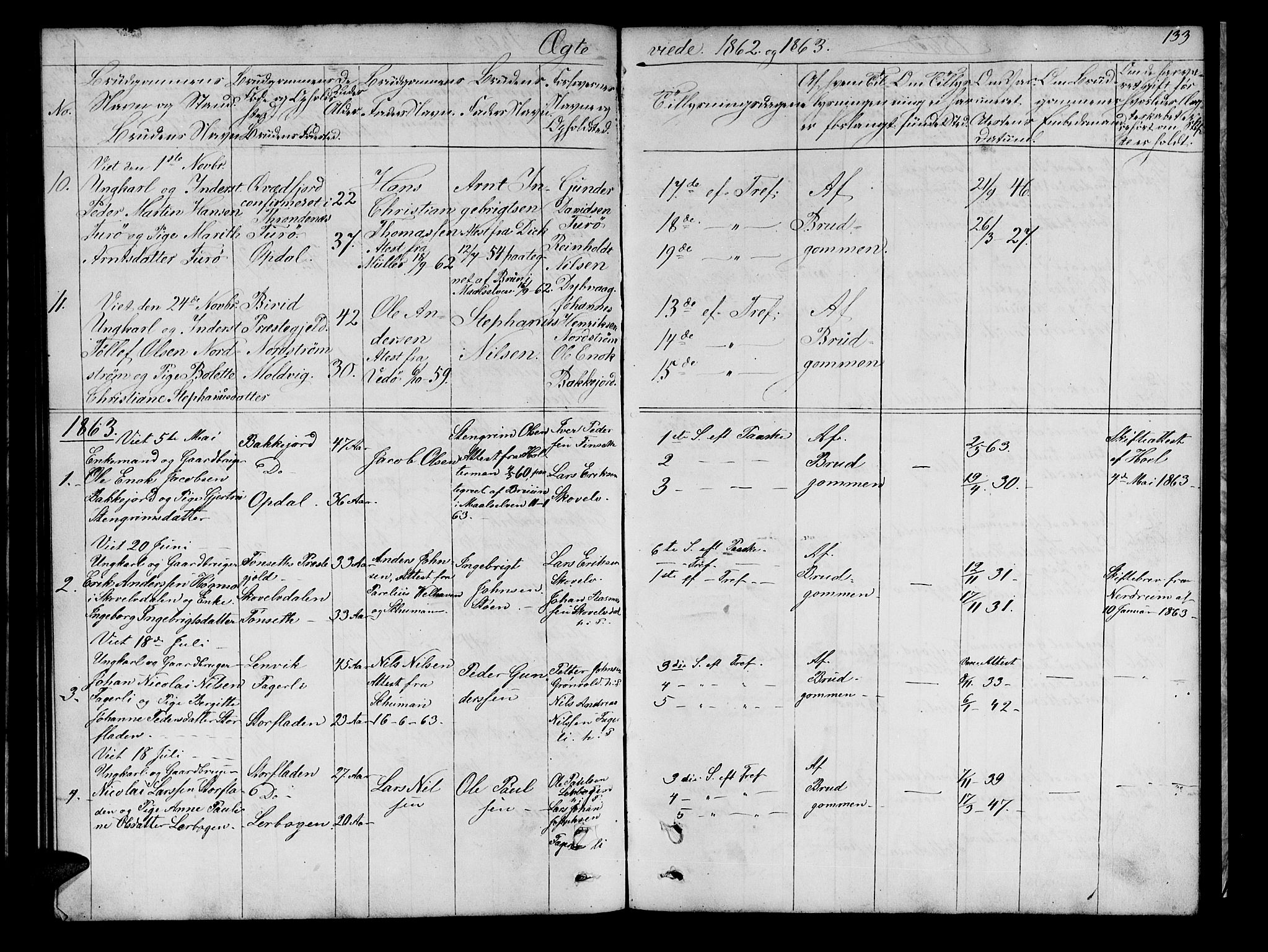 Tranøy sokneprestkontor, SATØ/S-1313/I/Ia/Iab/L0021klokker: Parish register (copy) no. 21, 1861-1886, p. 133