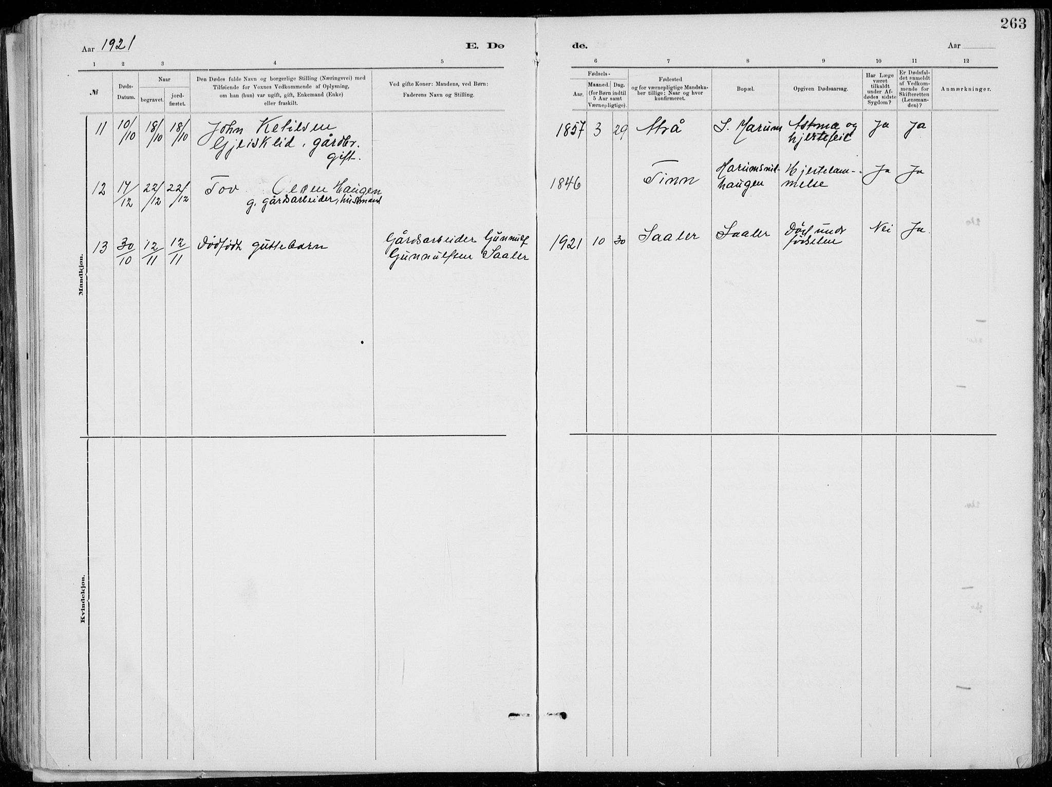 Tinn kirkebøker, AV/SAKO-A-308/F/Fa/L0007: Parish register (official) no. I 7, 1878-1922, p. 263