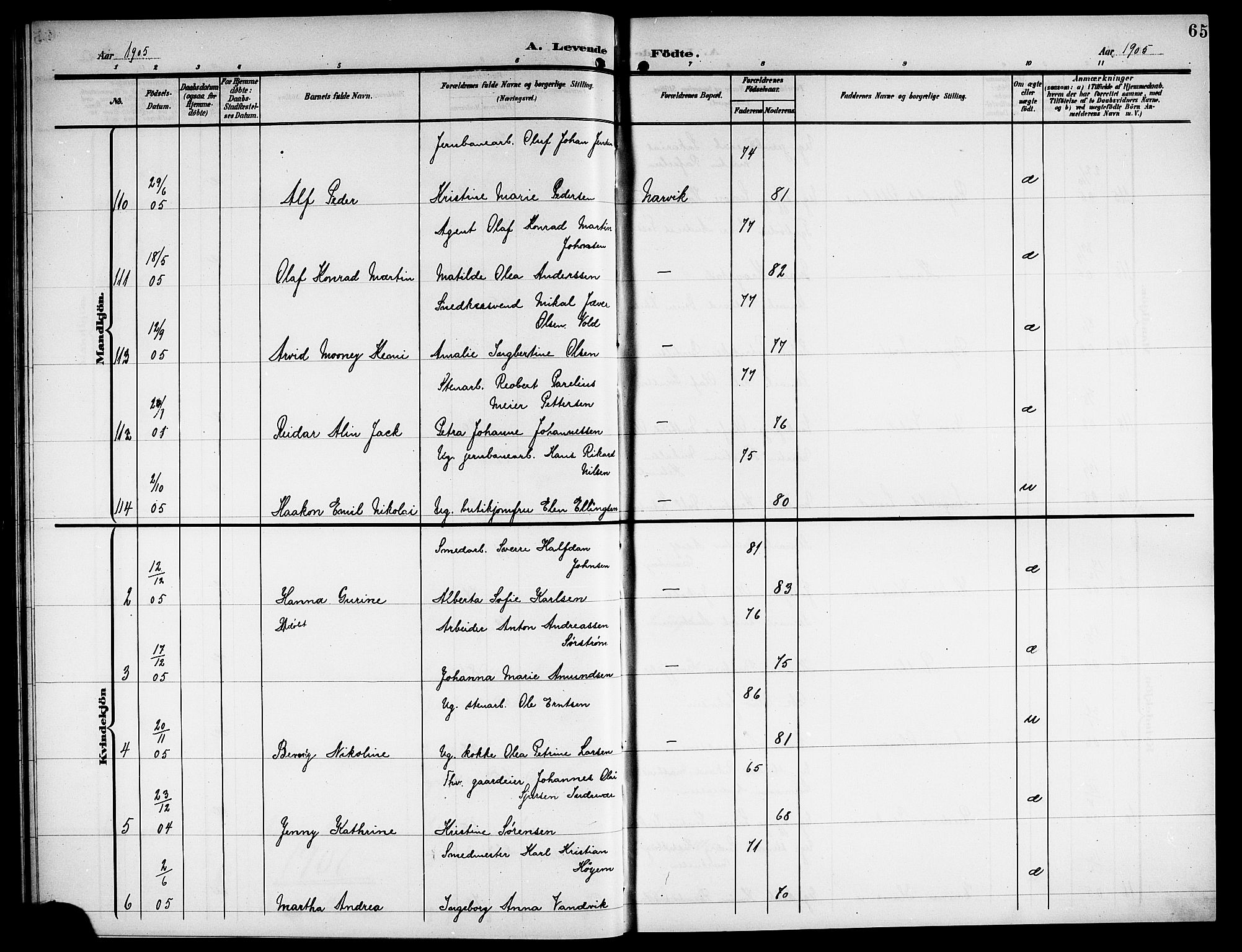 Ministerialprotokoller, klokkerbøker og fødselsregistre - Nordland, AV/SAT-A-1459/871/L1012: Parish register (copy) no. 871C01, 1902-1909, p. 65