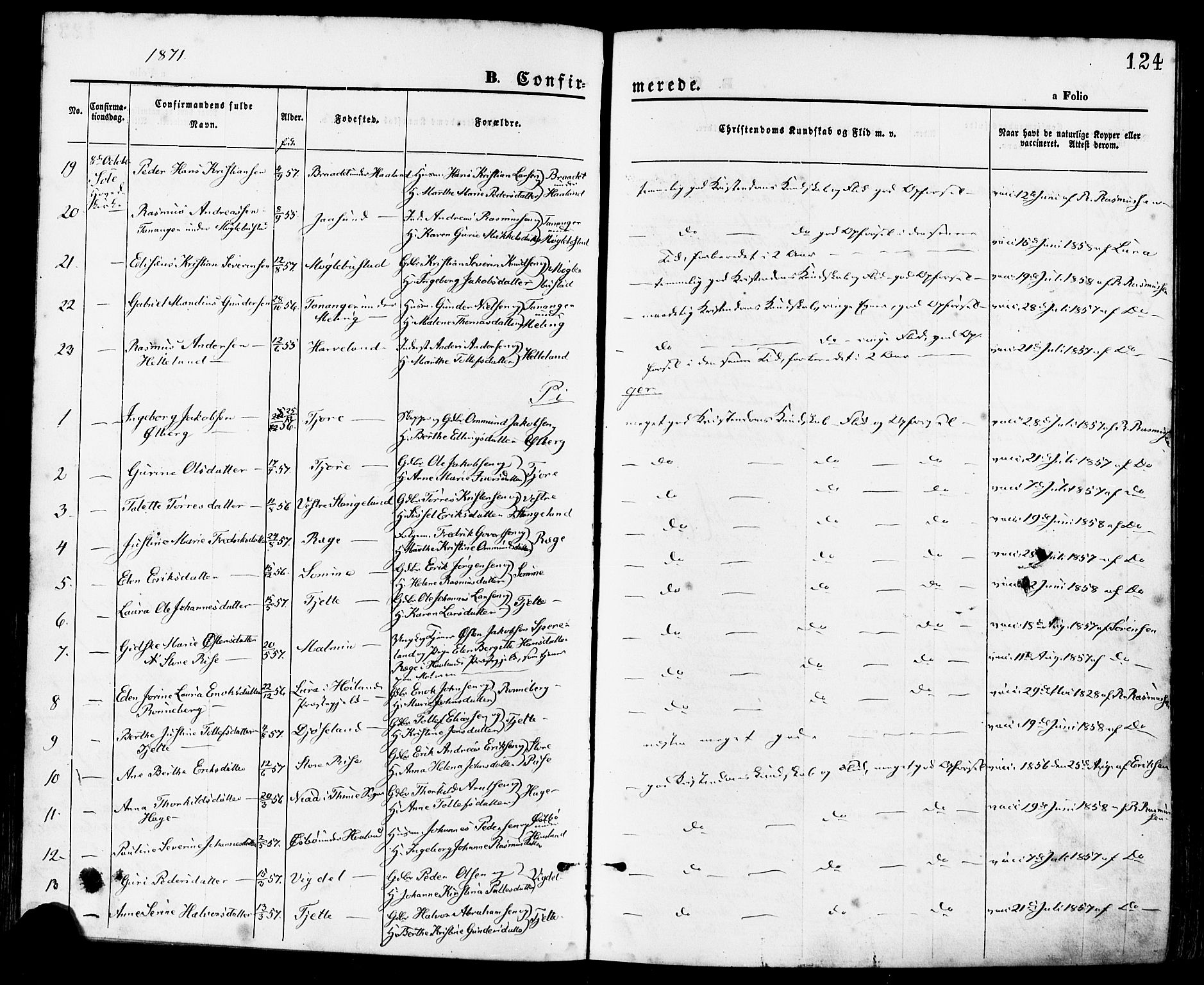 Håland sokneprestkontor, SAST/A-101802/001/30BA/L0009: Parish register (official) no. A 8, 1871-1882, p. 124