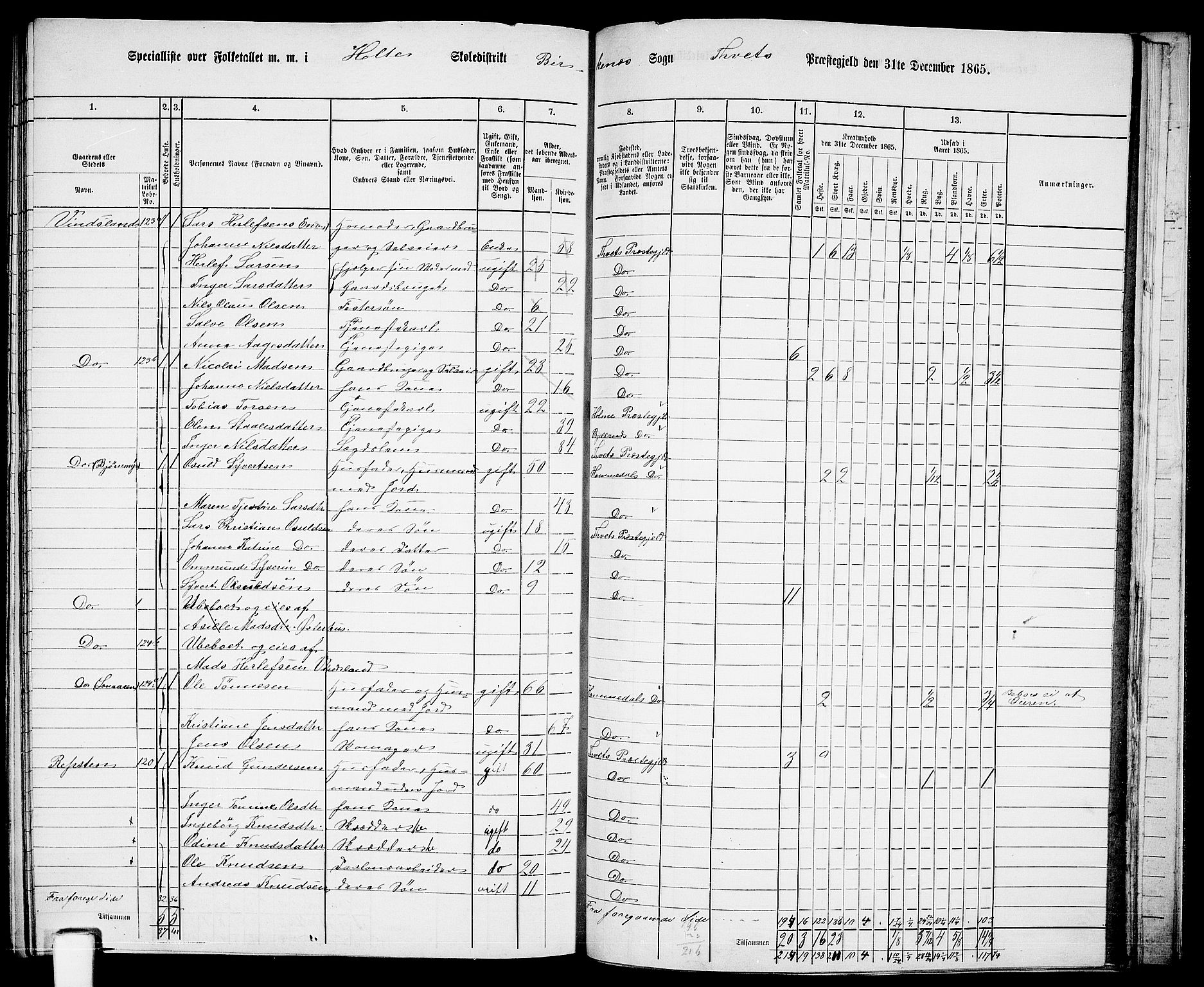 RA, 1865 census for Tveit, 1865, p. 132