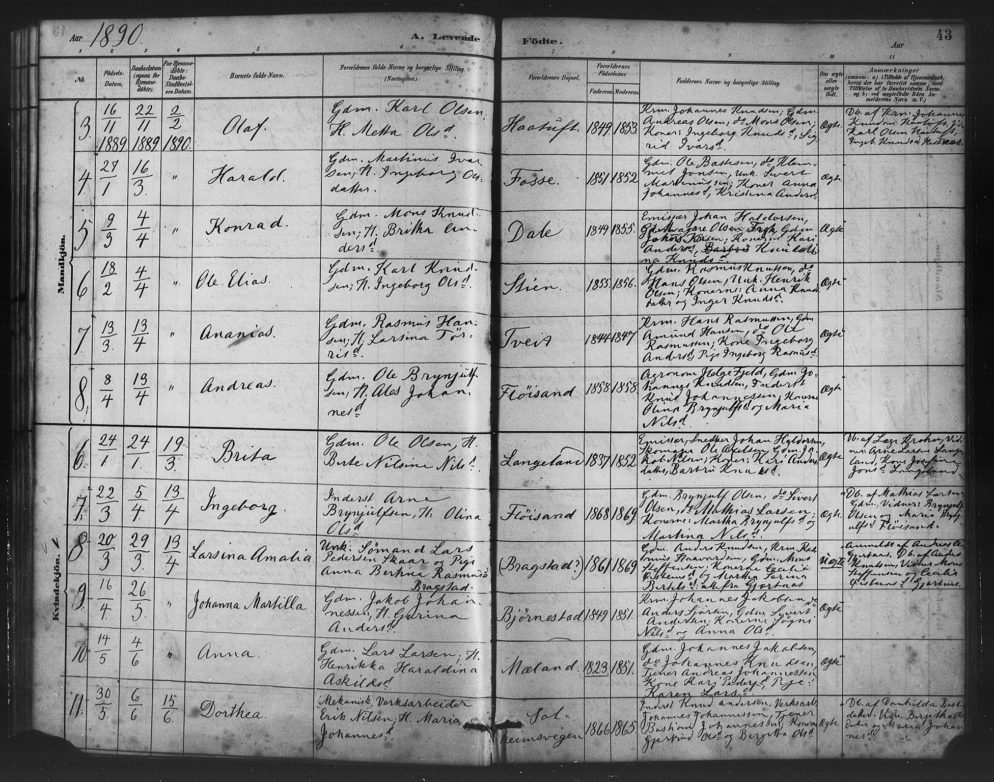 Alversund Sokneprestembete, AV/SAB-A-73901/H/Ha/Haa/Haac/L0001: Parish register (official) no. C 1, 1882-1900, p. 43