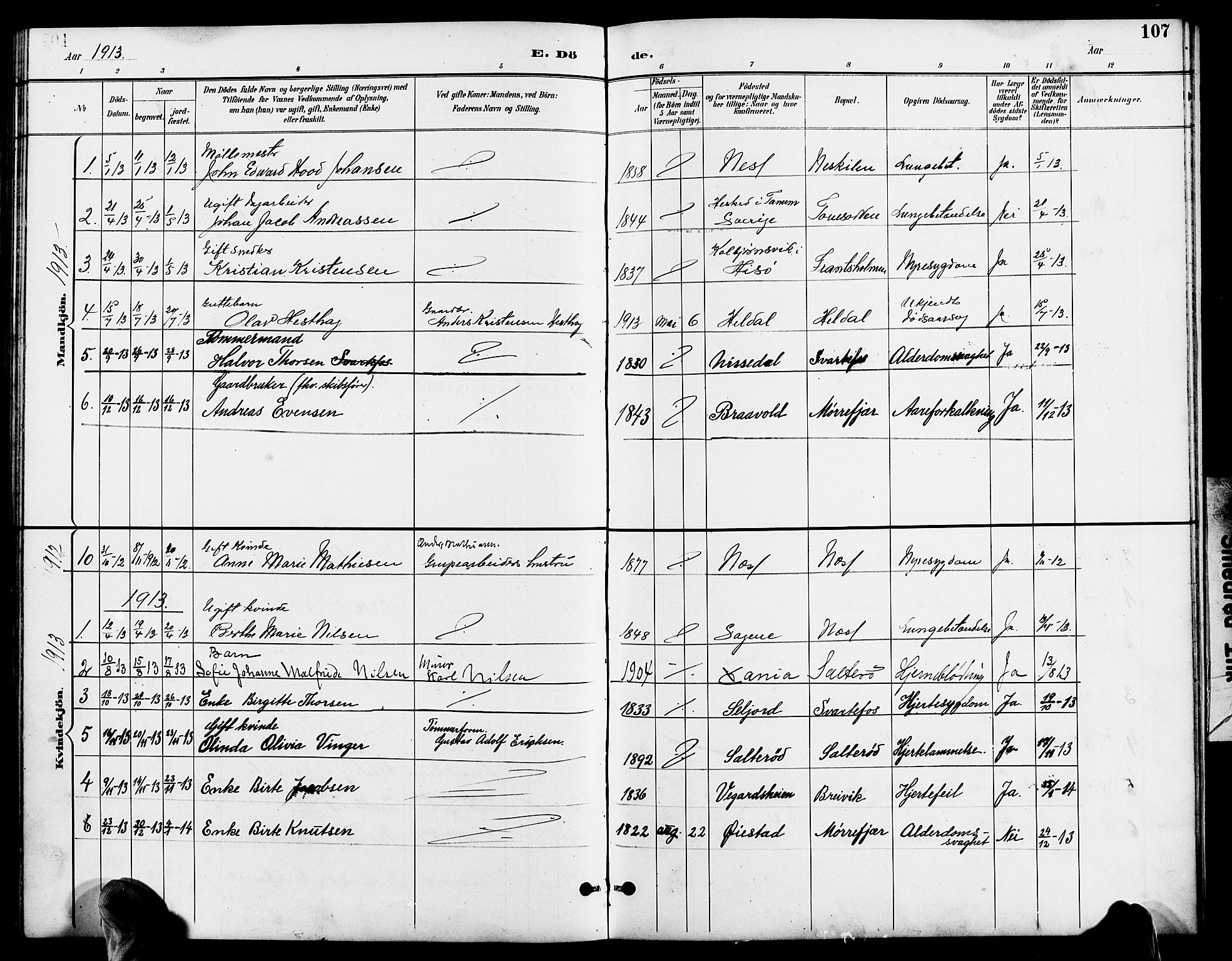 Austre Moland sokneprestkontor, SAK/1111-0001/F/Fb/Fbb/L0002: Parish register (copy) no. B 2, 1894-1918, p. 107
