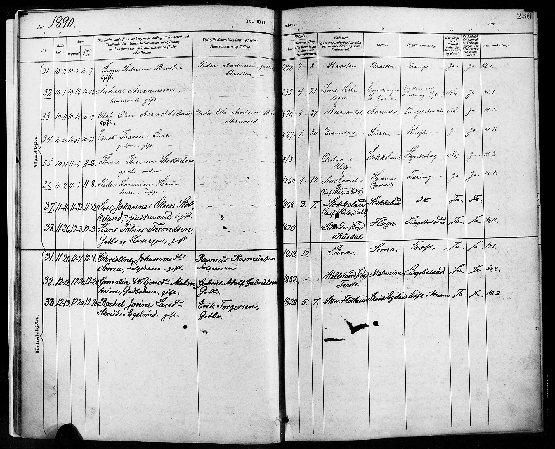 Høyland sokneprestkontor, AV/SAST-A-101799/001/30BA/L0013: Parish register (official) no. A 13.2, 1889-1898, p. 236