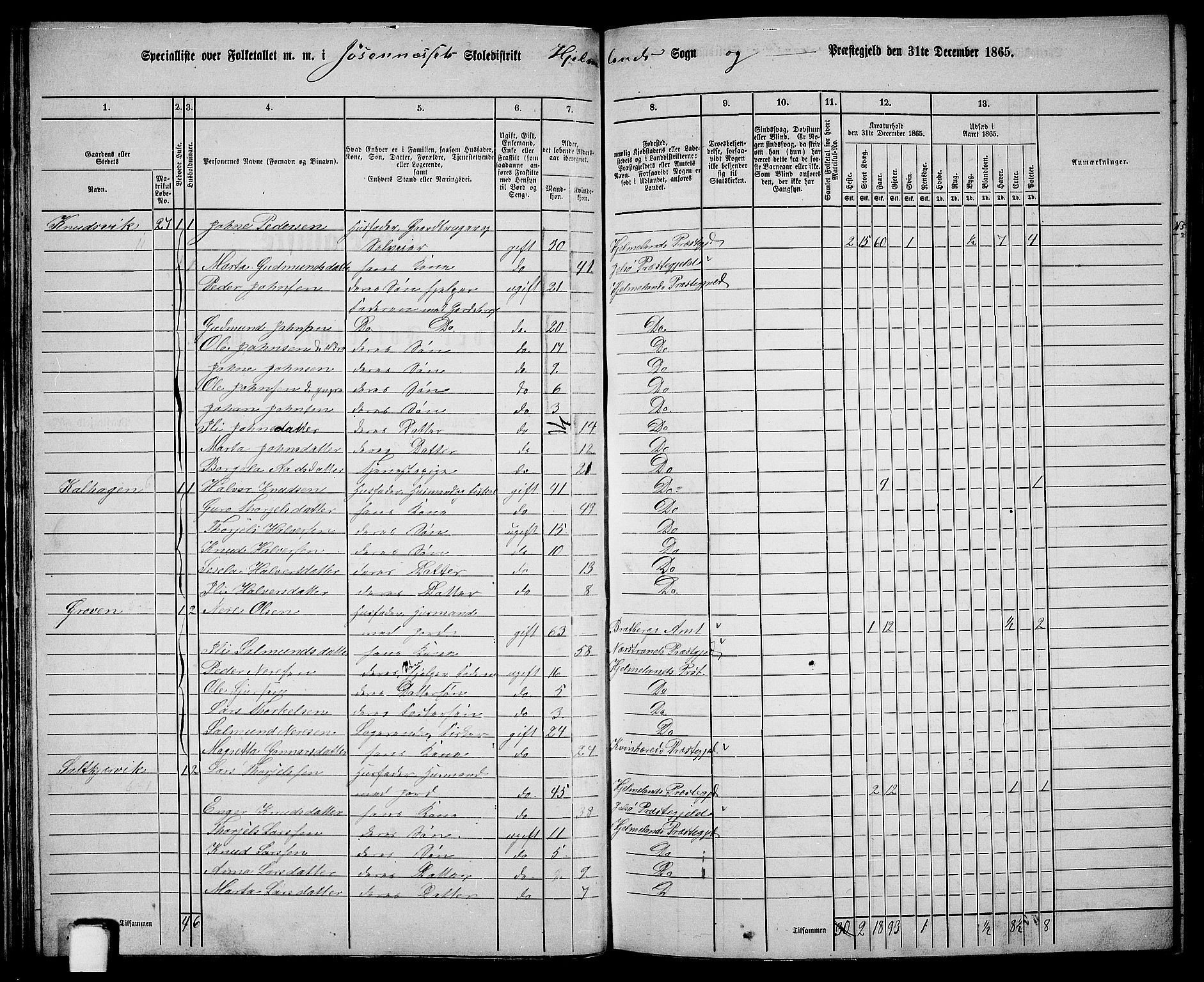 RA, 1865 census for Hjelmeland, 1865, p. 34