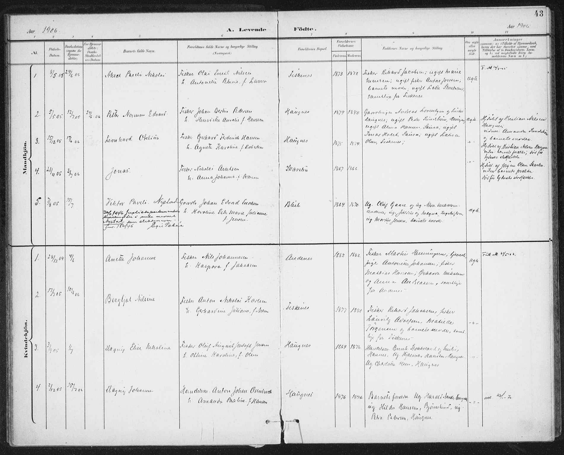 Ministerialprotokoller, klokkerbøker og fødselsregistre - Nordland, SAT/A-1459/899/L1437: Parish register (official) no. 899A05, 1897-1908, p. 43