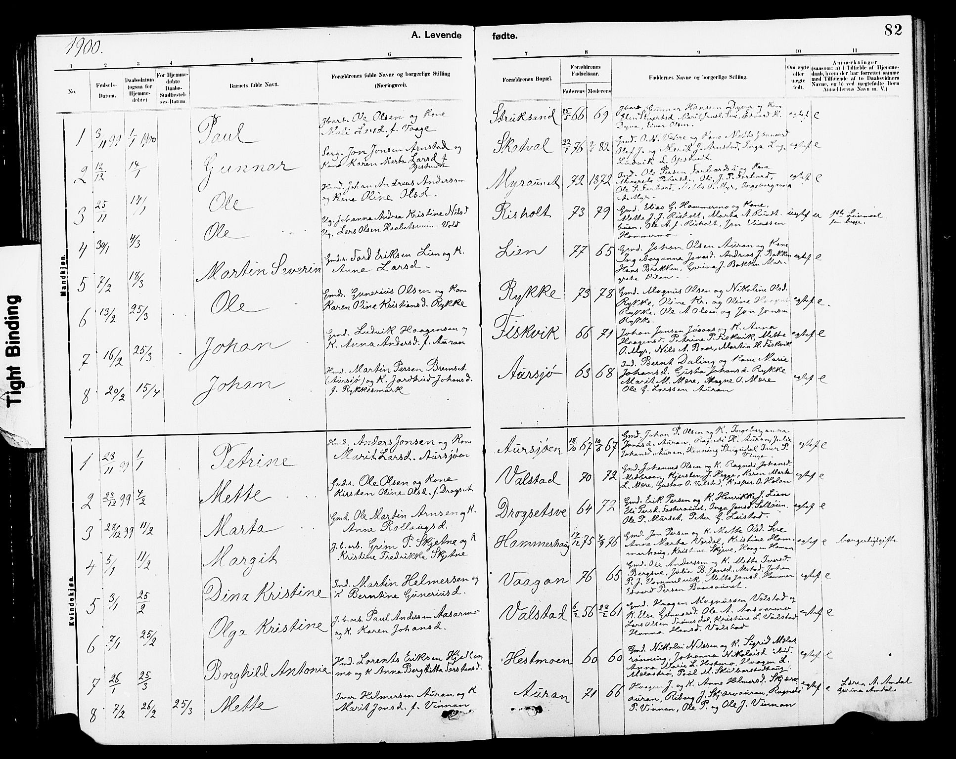 Ministerialprotokoller, klokkerbøker og fødselsregistre - Nord-Trøndelag, SAT/A-1458/712/L0103: Parish register (copy) no. 712C01, 1878-1917, p. 82
