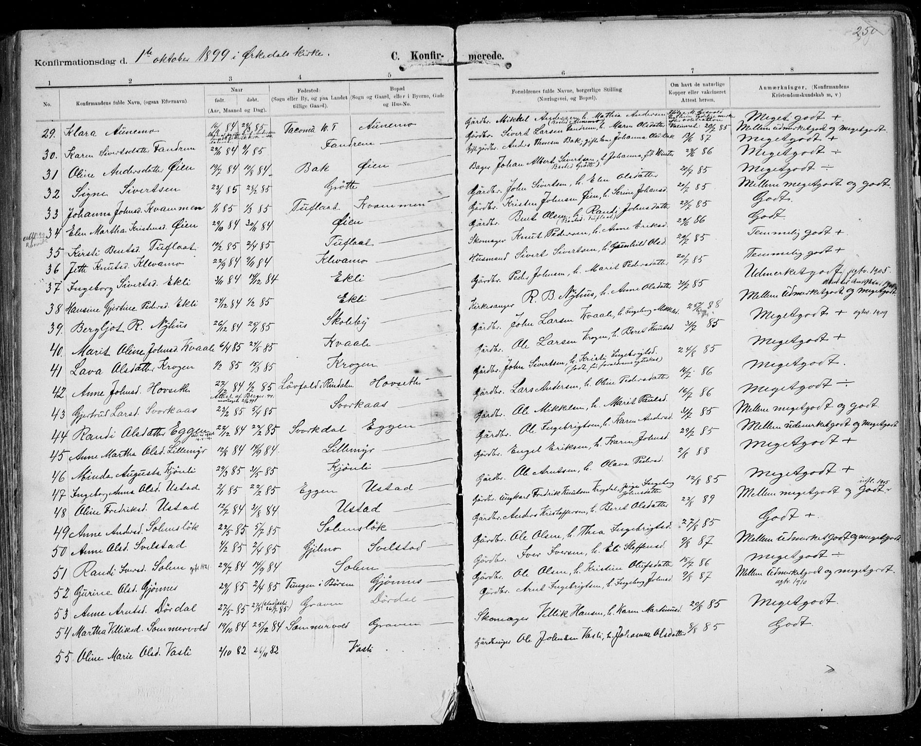 Ministerialprotokoller, klokkerbøker og fødselsregistre - Sør-Trøndelag, SAT/A-1456/668/L0811: Parish register (official) no. 668A11, 1894-1913, p. 250