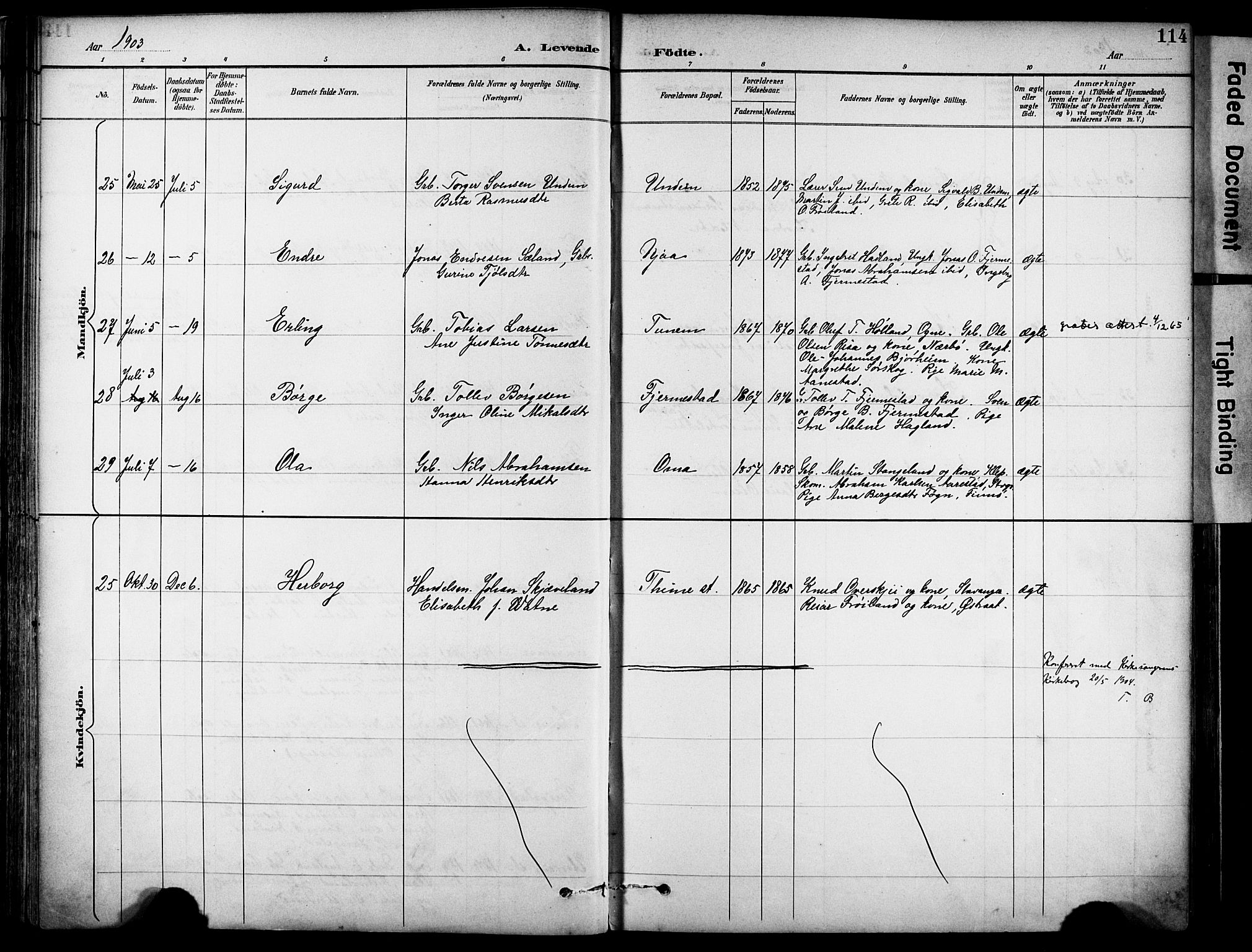 Lye sokneprestkontor, AV/SAST-A-101794/001/30BA/L0011: Parish register (official) no. A 9, 1893-1903, p. 114