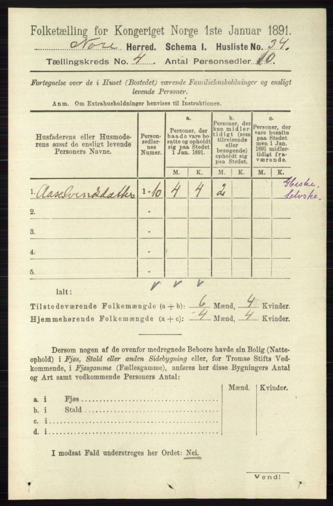 RA, 1891 census for 0633 Nore, 1891, p. 1253