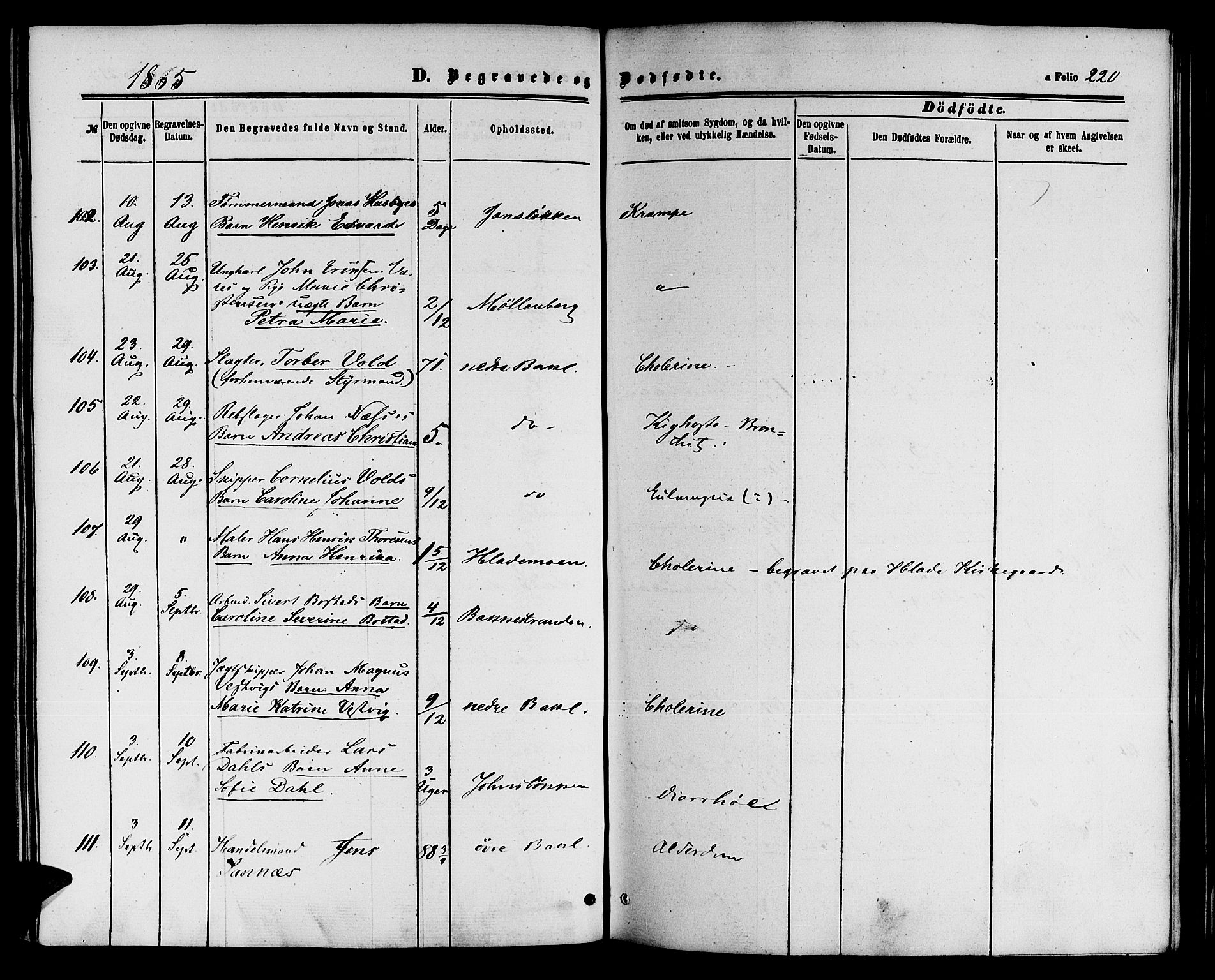 Ministerialprotokoller, klokkerbøker og fødselsregistre - Sør-Trøndelag, AV/SAT-A-1456/604/L0185: Parish register (official) no. 604A06, 1861-1865, p. 220